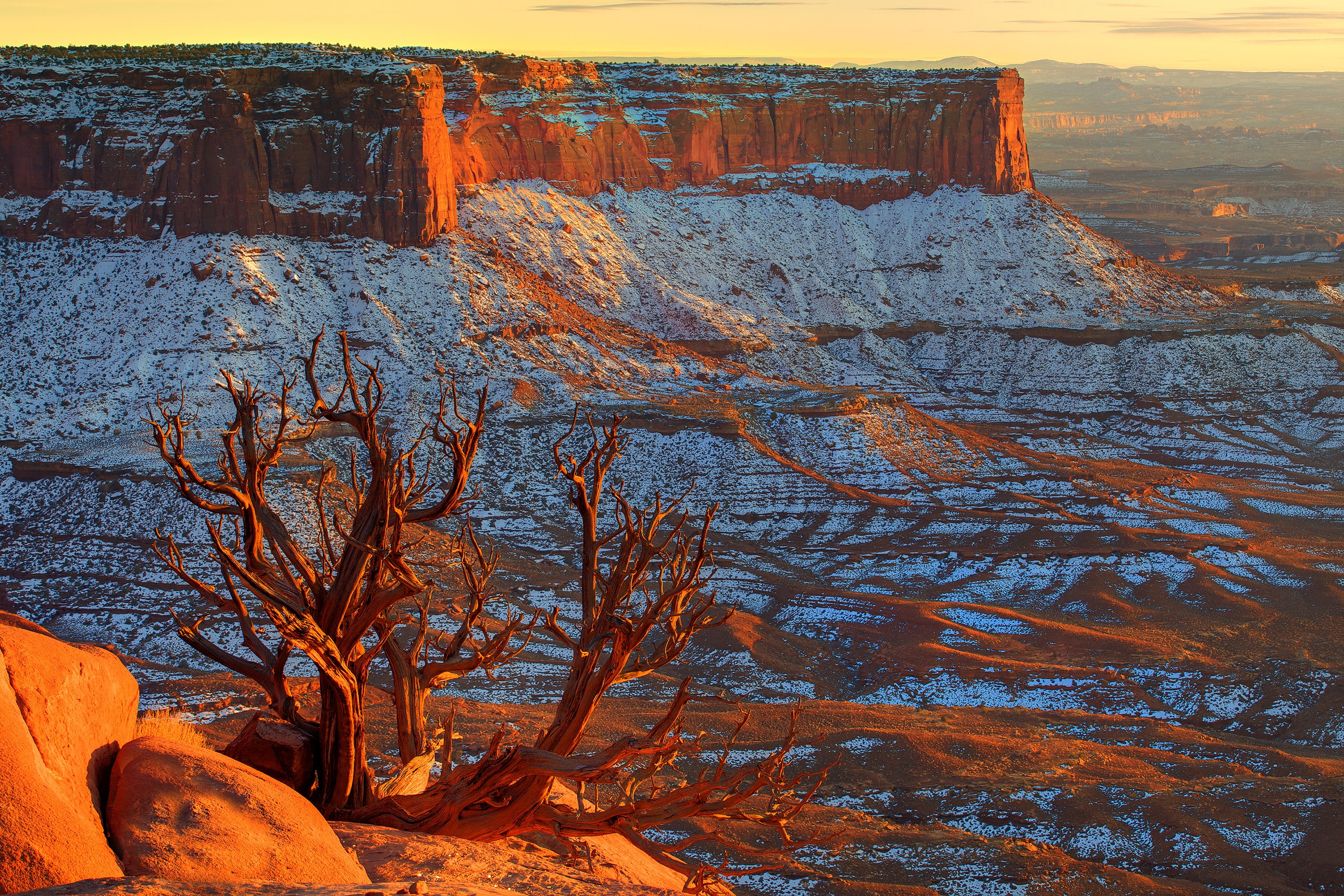bare, tree, 2K, utah, canyon, canyonlands, horizon, wood, usa, sky, snow, cliff, stones, sunset, HD Wallpaper