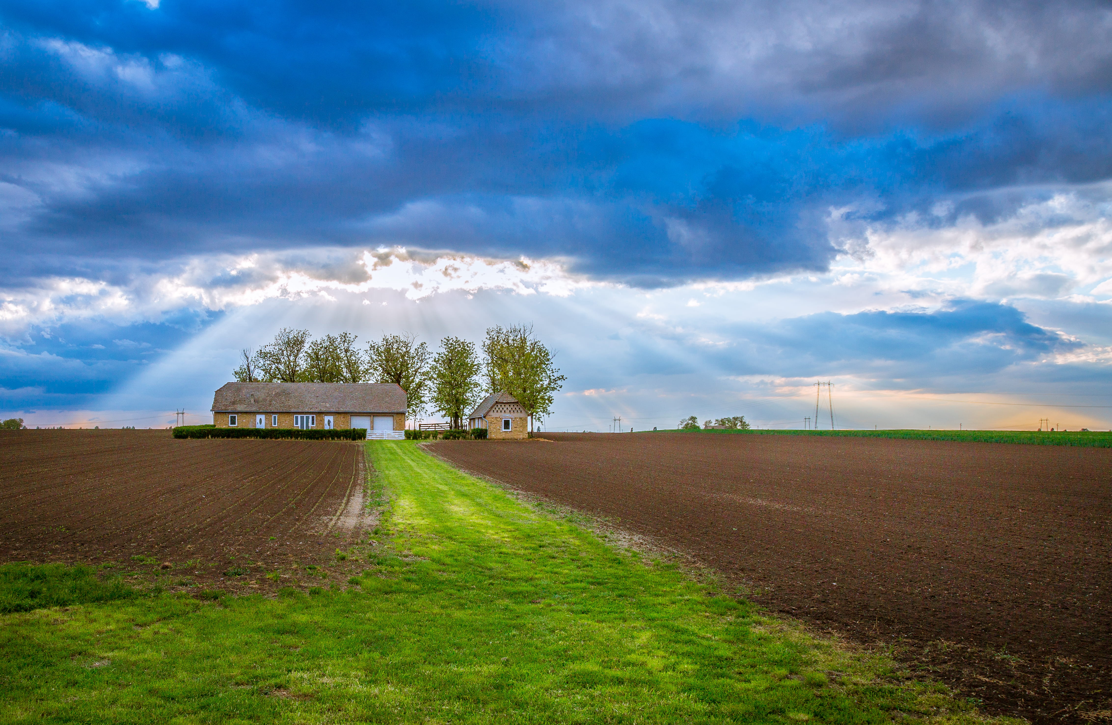 field, sky, rural scene, nature, scenics - nature, outdoors, vojvodina, 4K, road, beauty in nature, tree, landscape, land, agriculture, village, srbobran, HD Wallpaper