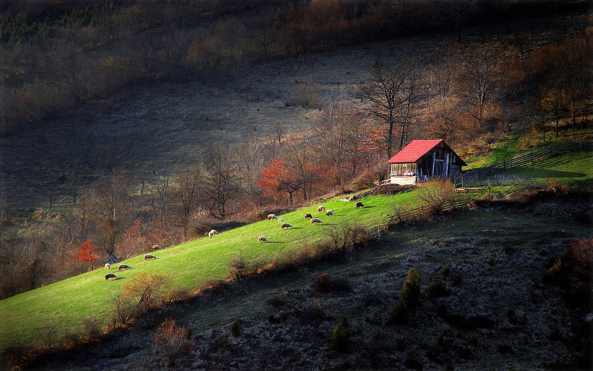 1080P, landscapes, serbia, HD Wallpaper