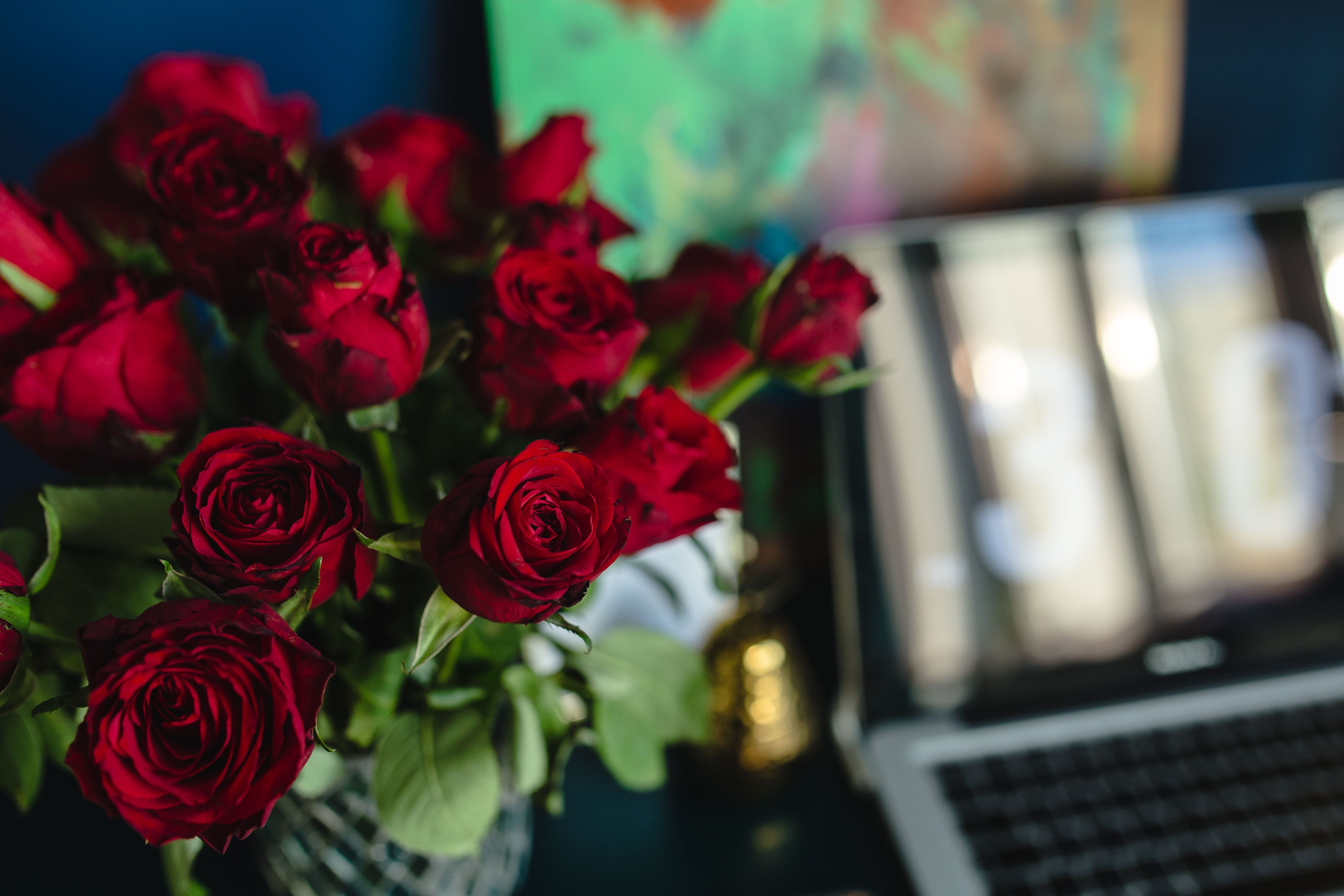 Table, laptop, arrangement, flowering plant, rose - Flower, Office, focus on foreground, no people, bouquet, fragility, beauty in nature, indoors, red, HD Wallpaper