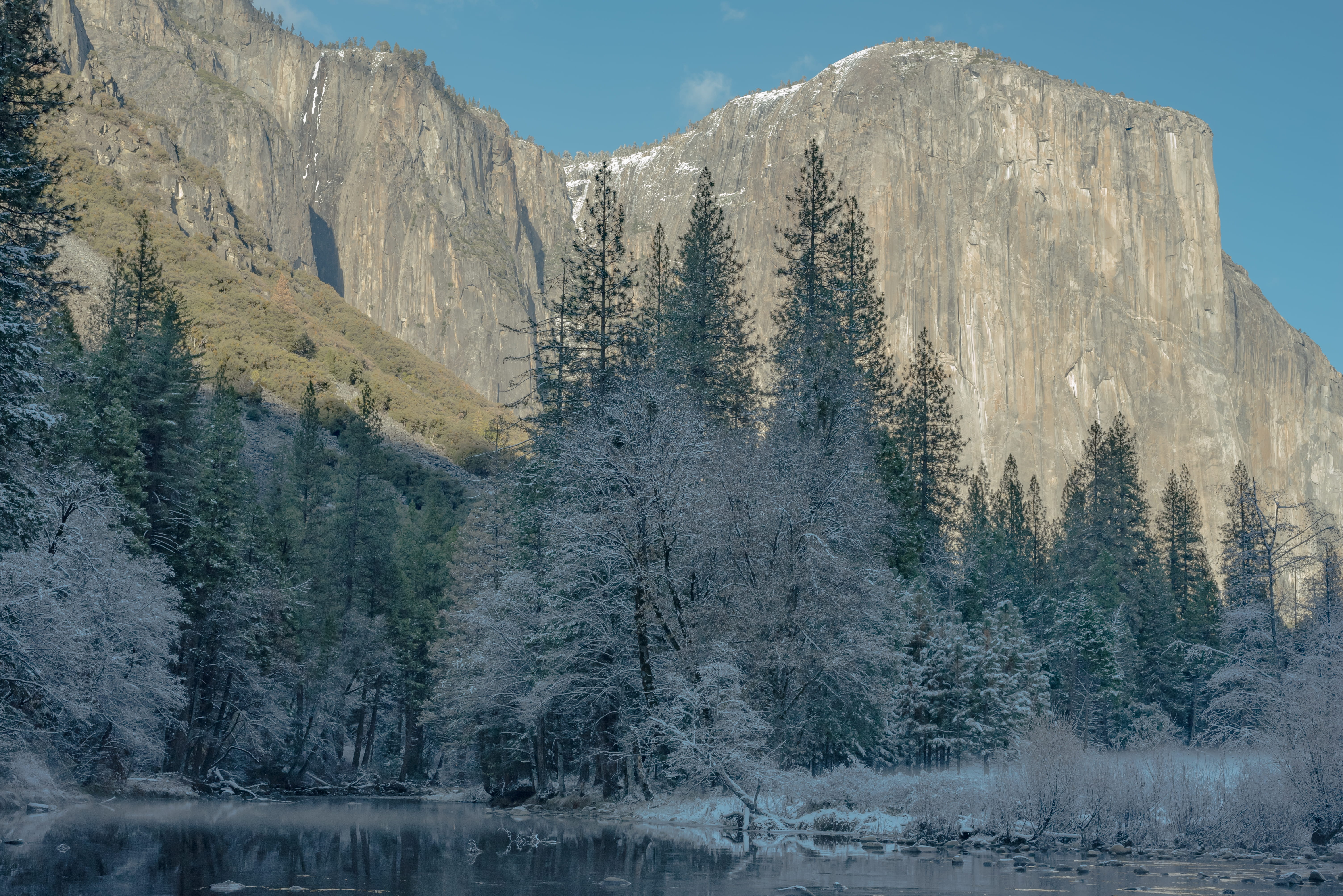 nature, merced river, water, snow, land, tranquil scene, snowy trees, pine woodland, sky, no people, pine tree, tranquility, tree, non-urban scene, mountain, HD Wallpaper