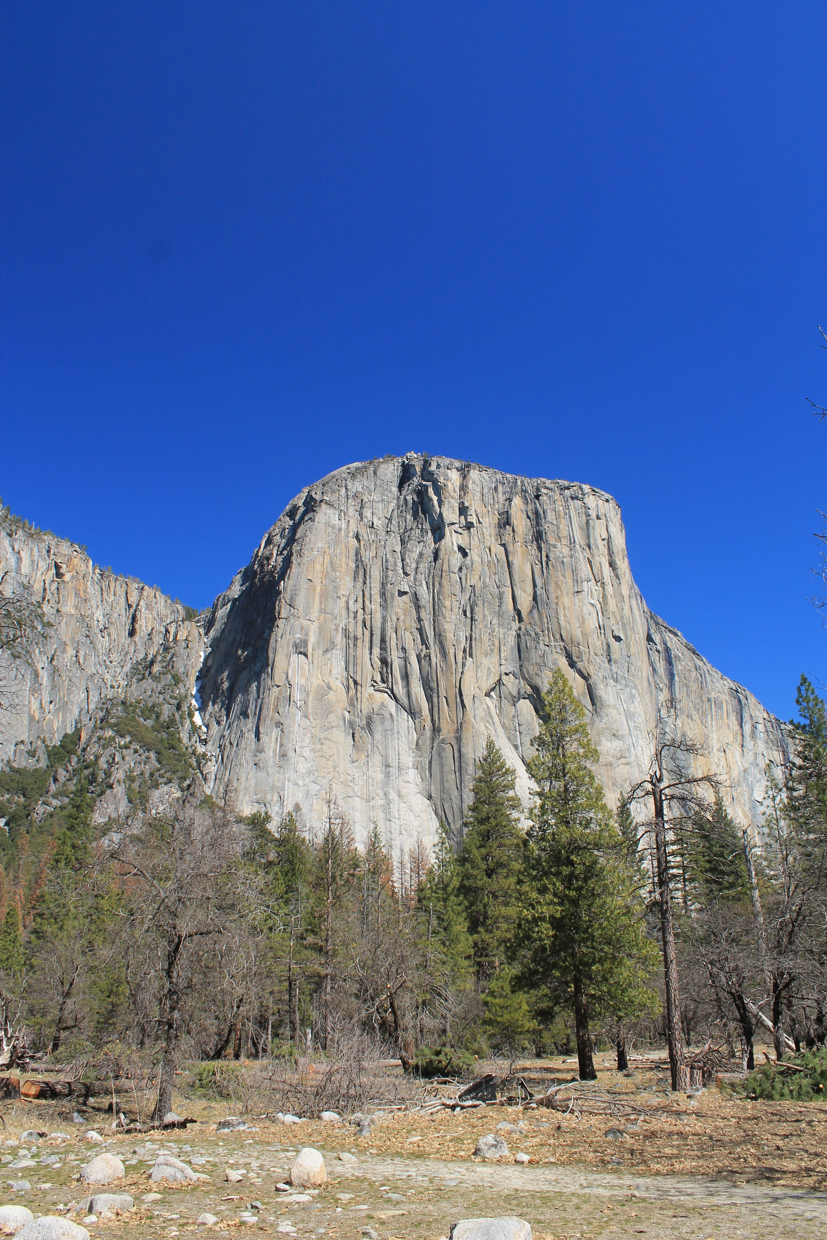 landscape, copy space, national, pine, merced, scenic, sierra, rock - Object, sky, 4K, high, destination, outdoors, mountain range, fall, nature, stone, Phone HD Wallpaper