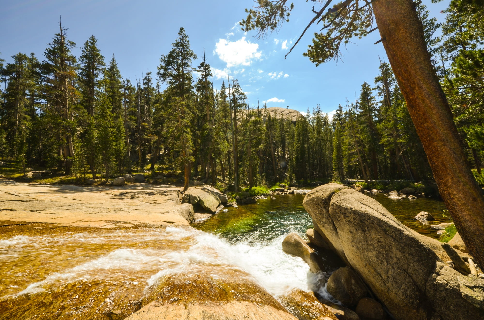 america, day, stream - flowing water, woodland, tranquil scene, flowing, solid, 1080P, conifers, rock - object, sky, power in nature, coniferous tree, HD Wallpaper