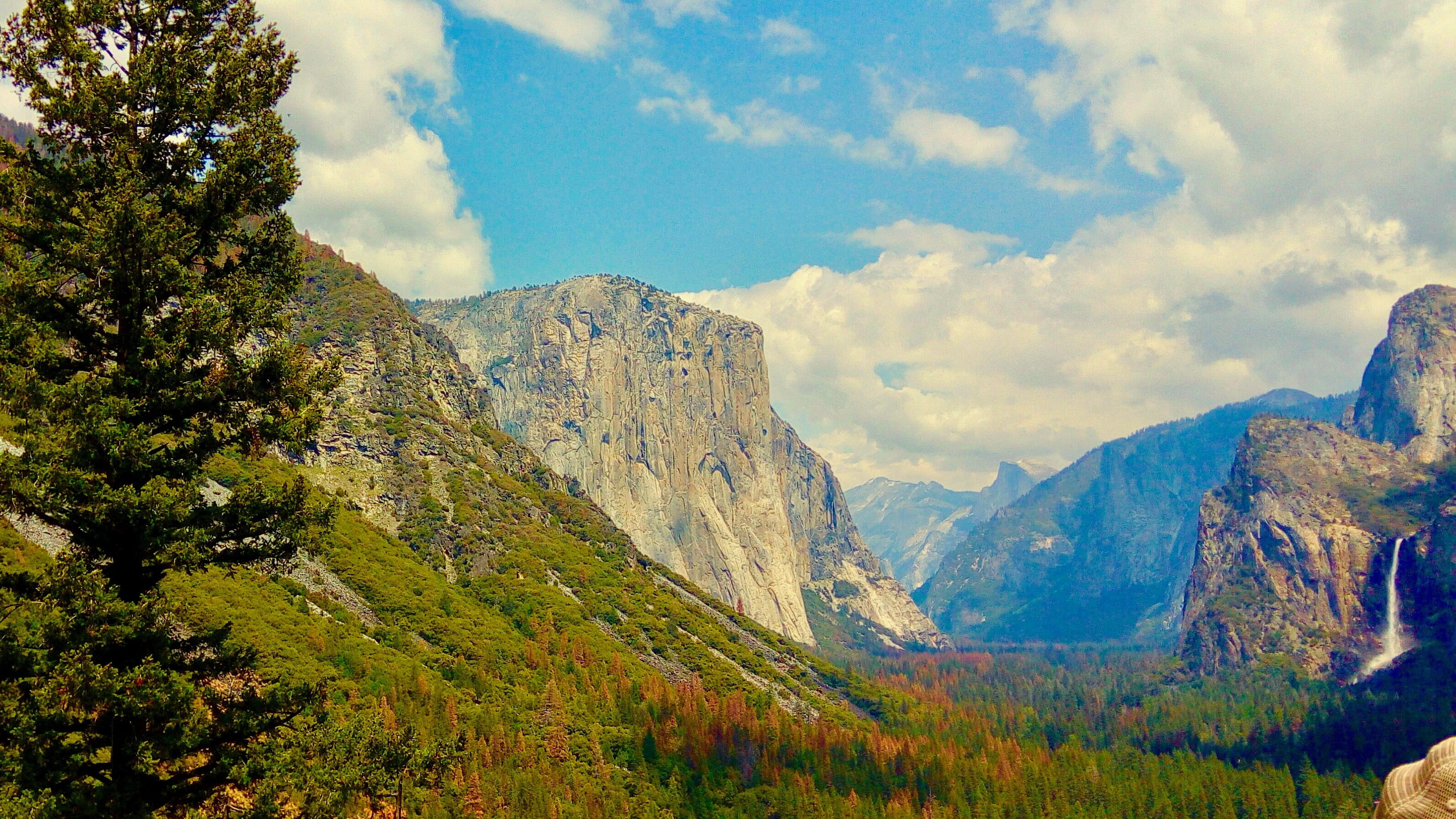 sky, Rock, Yosemite National Park, landscape, day, merced river, river, squirrel, idyllic, coniferous tree, scenics, environment, beauty in nature, yosemite, HD Wallpaper