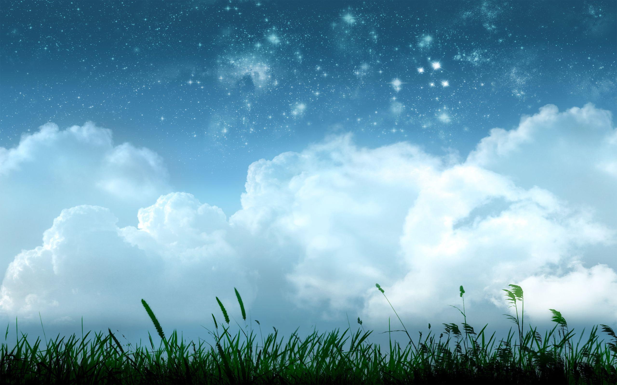 leaf, stars, star, plant, digital art, grassy, cloud, green, 2560x1600, grass, field, 2K, shining, HD Wallpaper