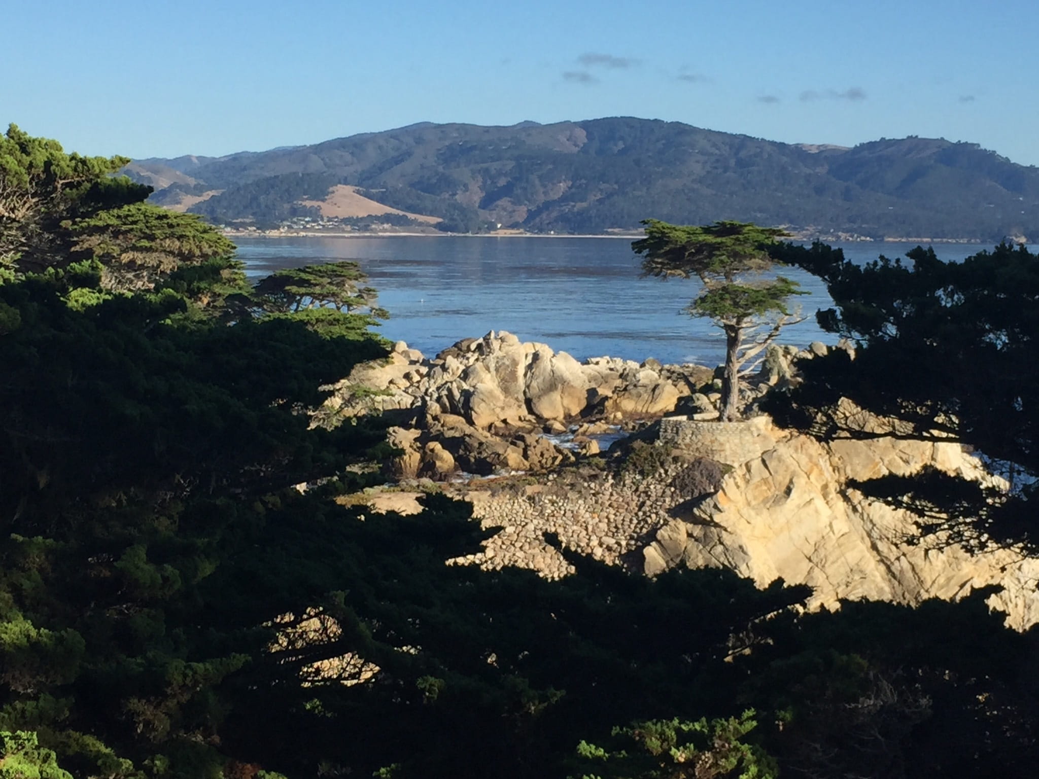 tree, Drive, tranquility, 17, sky, pacific, plant, 17, cypress, mile, mountain range, California, Mile, no people, rock - object, mountain, sunlight, bay, HD Wallpaper