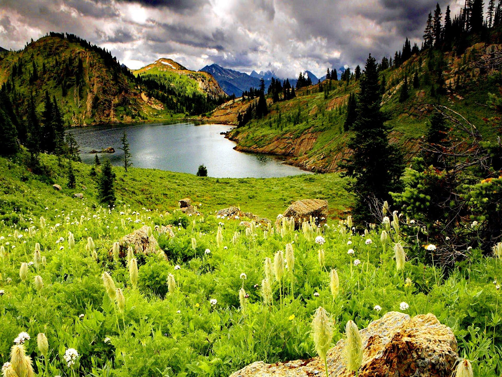 1080P, grass, alberta, river, lake, nature, stones, beautiful, lakeshore, lovely, nice, greenery, riverbank, shore, HD Wallpaper