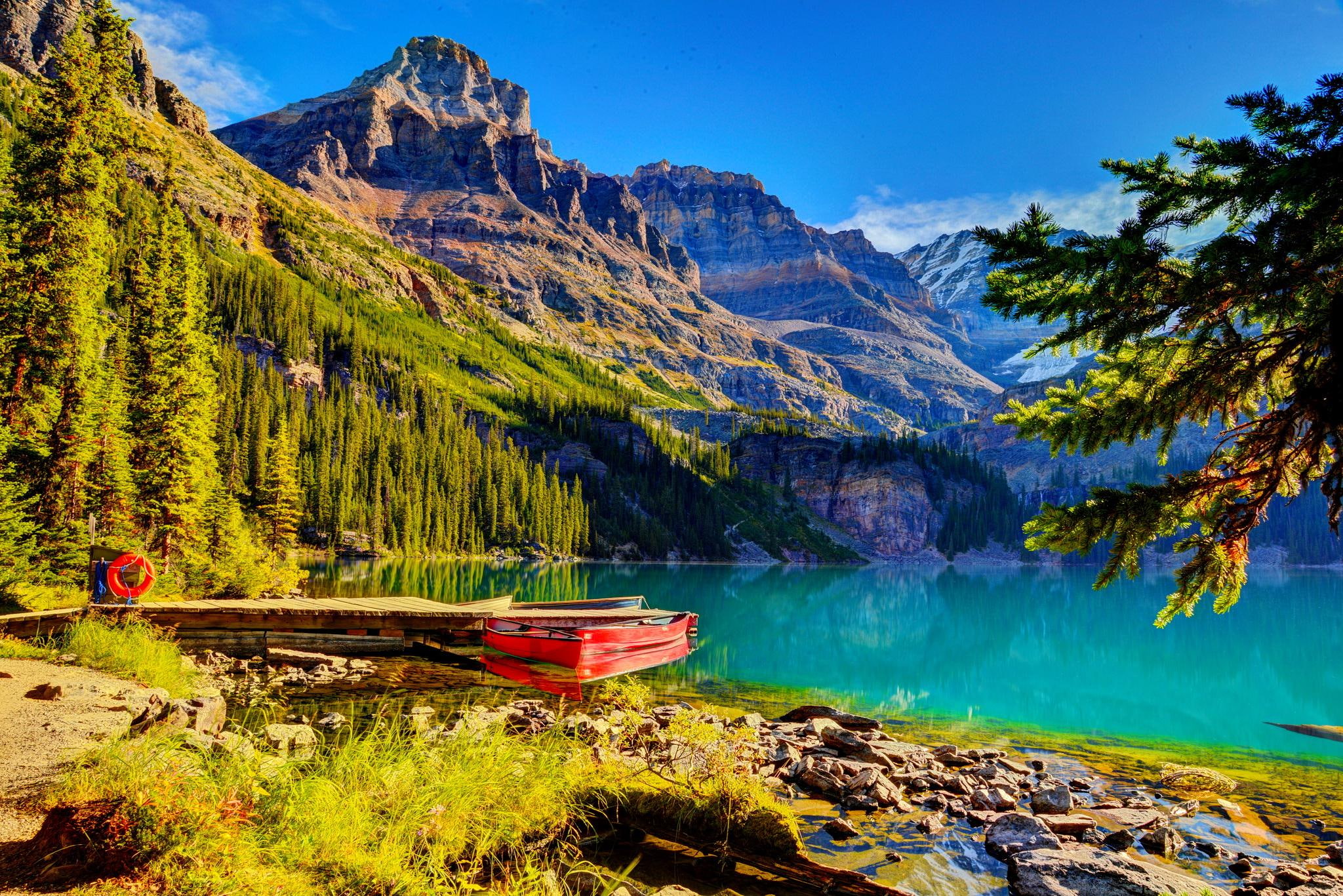 trees, 1080P, lovely, lake, summer, nice, boat, riverbank, slope, lakeshore, mirro, beautiful, reflecttion, grass, HD Wallpaper