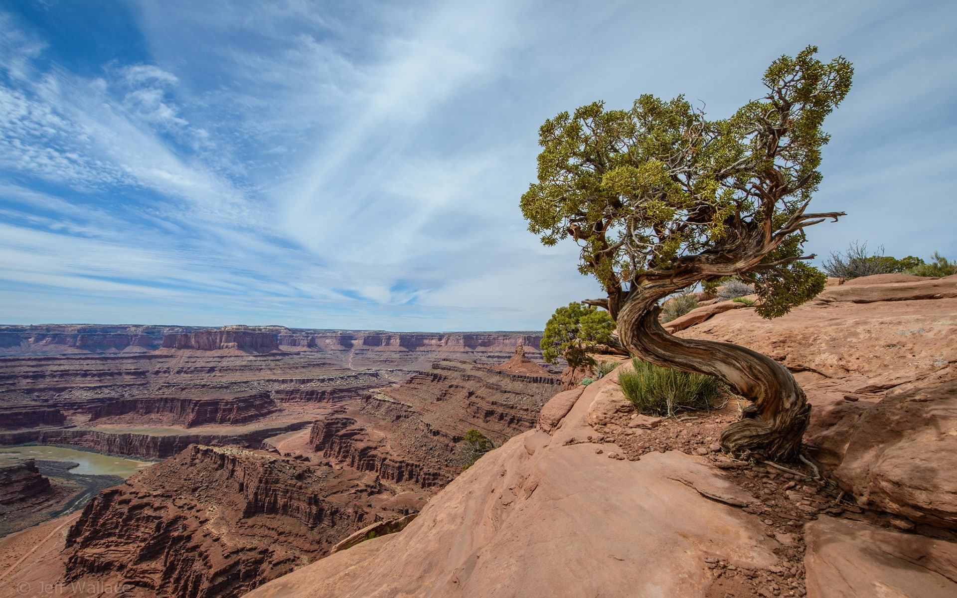 arid climate, 1080P, physical geography, no people, rock, plant, environment, outdoors, eroded, tranquility, desert, tree, sky, cloud - sky, remote, landscape, HD Wallpaper