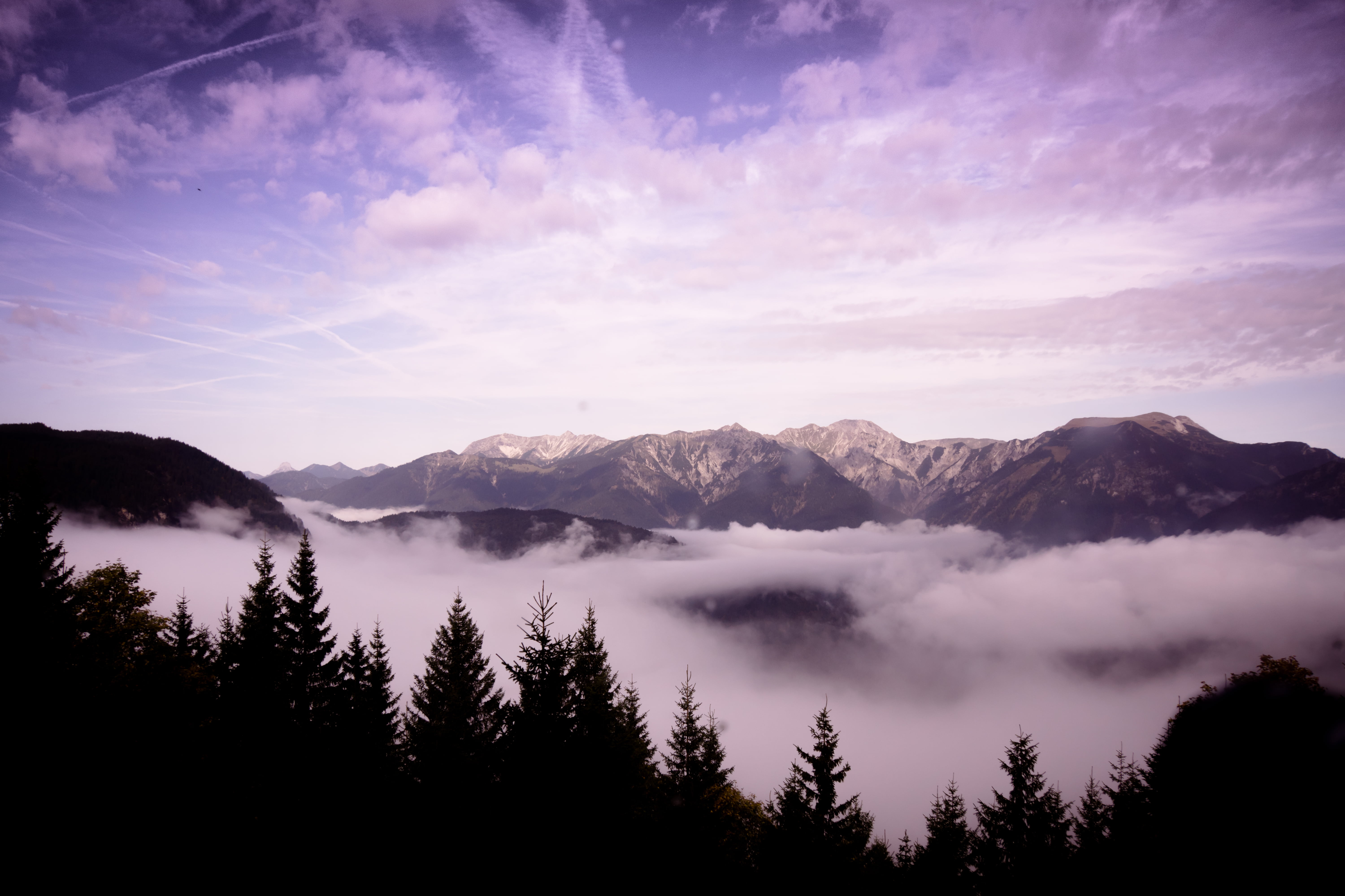 tree, Sony  Nex-7, mountain, photography, sunset, mountain Peak, clear, nature, Zugspitze, On the way, Garmisch  Partenkirchen, outdoors, cloud - Sky, to the top, HD Wallpaper