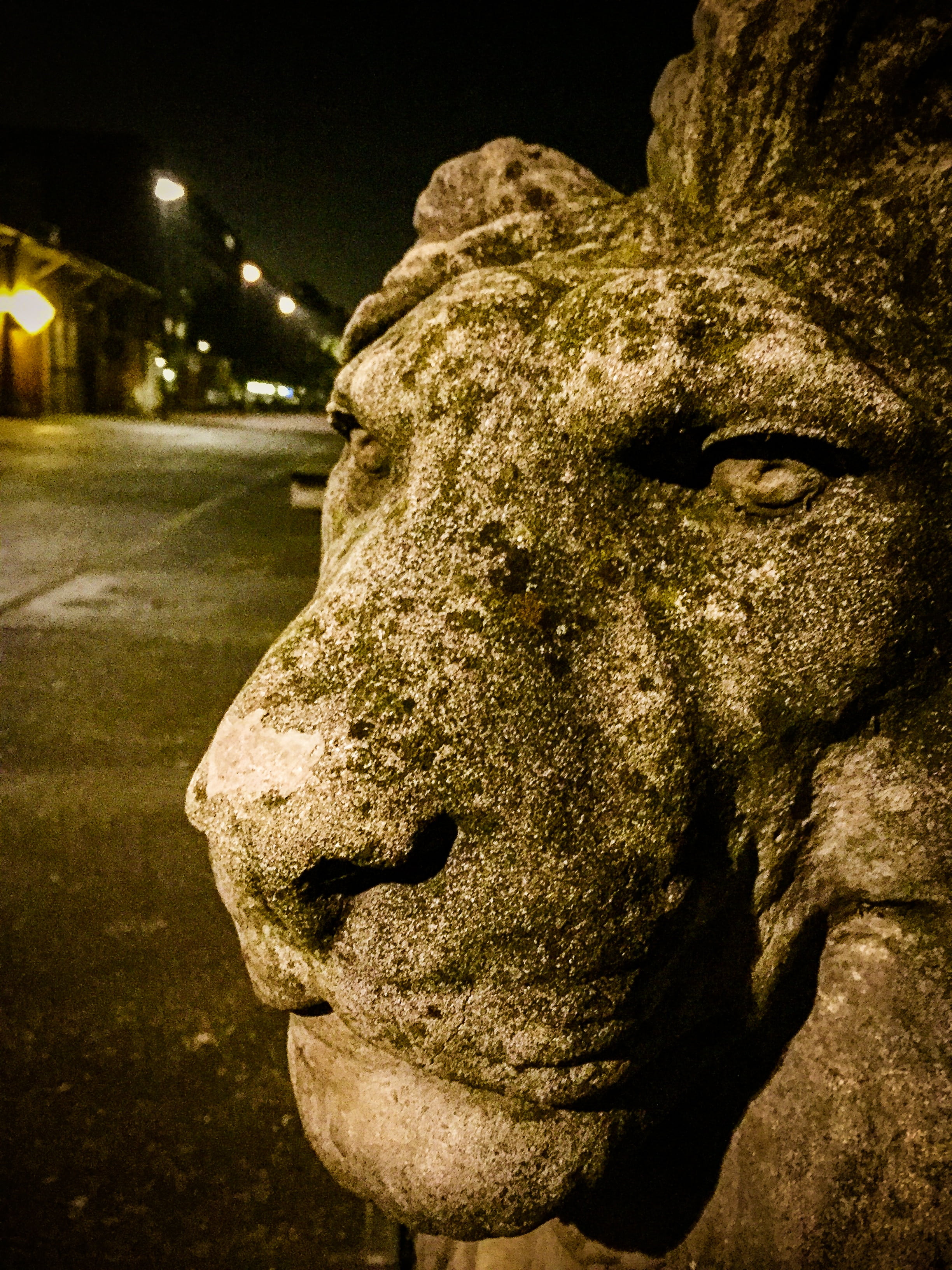 metal, close-up, male likeness, golden, representation, 2K, stone, illuminated, equestrian statue, golden rider, lion, no people, globe, magdeburger reiter, Phone HD Wallpaper