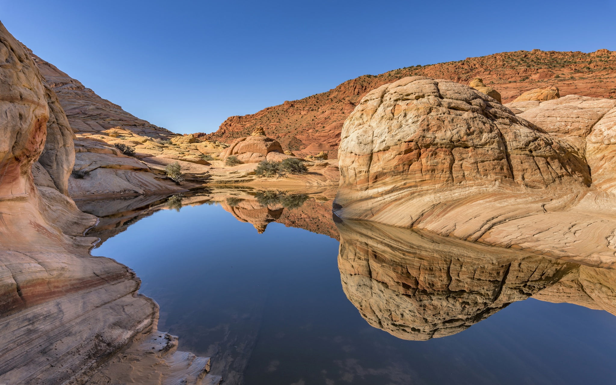 1080P, Coyote Buttes North, The Slope Of Coyote Buttes, Arizona, AZ, HD Wallpaper