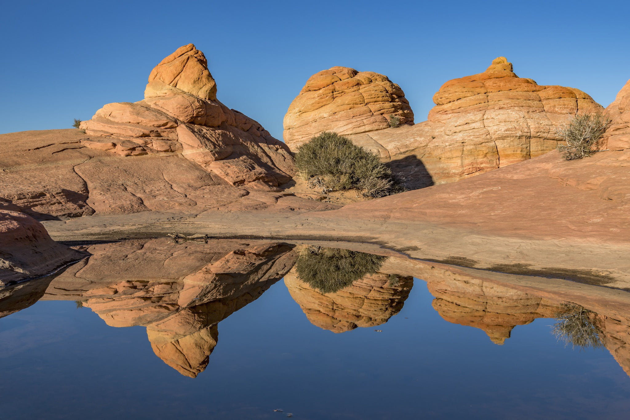 AZ, USA, Coconino, 1080P, Arizona, Coyote Buttes, HD Wallpaper
