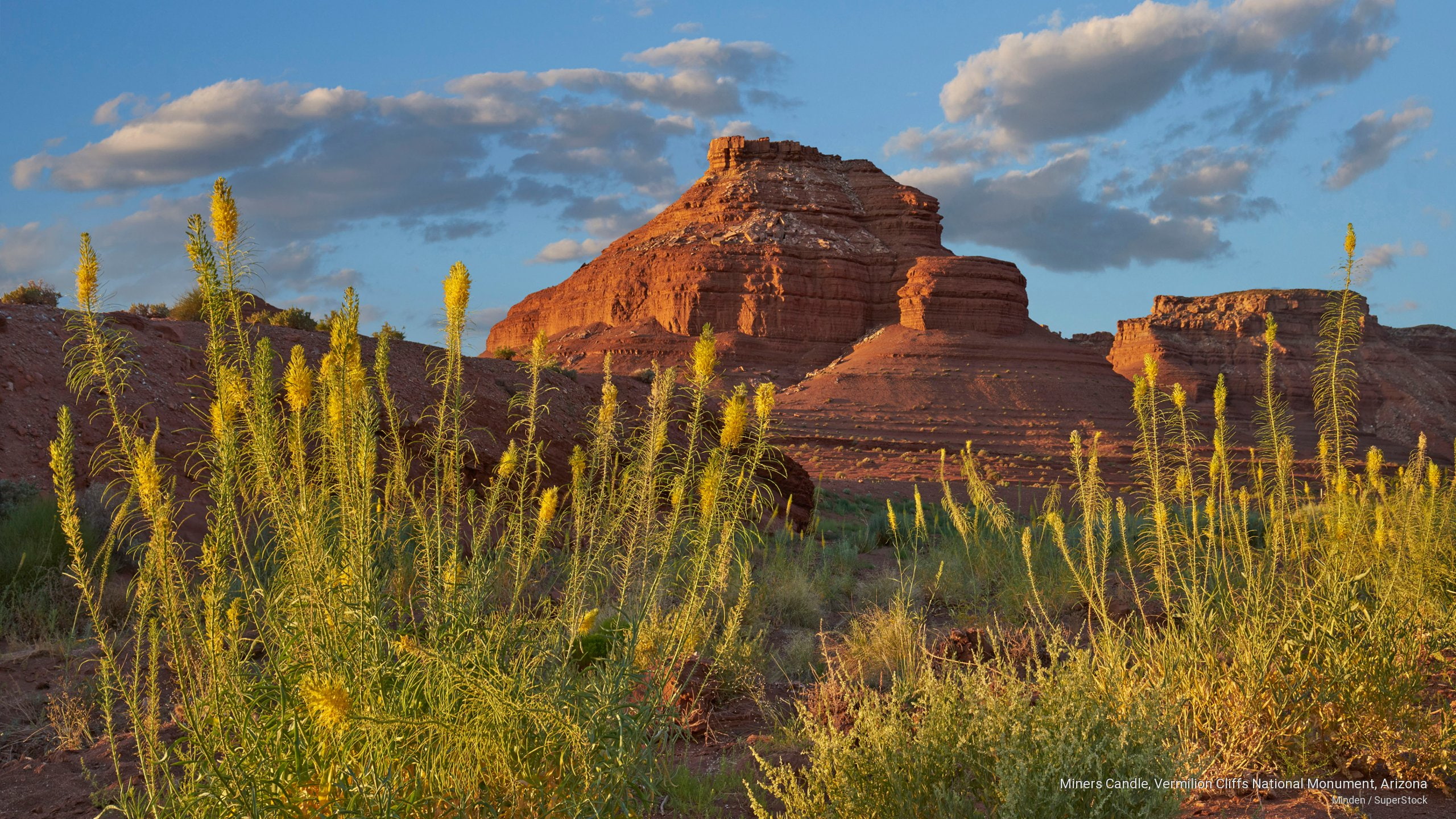 monument, national, arizona, vermilion, cliffs, candle, National Parks, miners, 2K, HD Wallpaper
