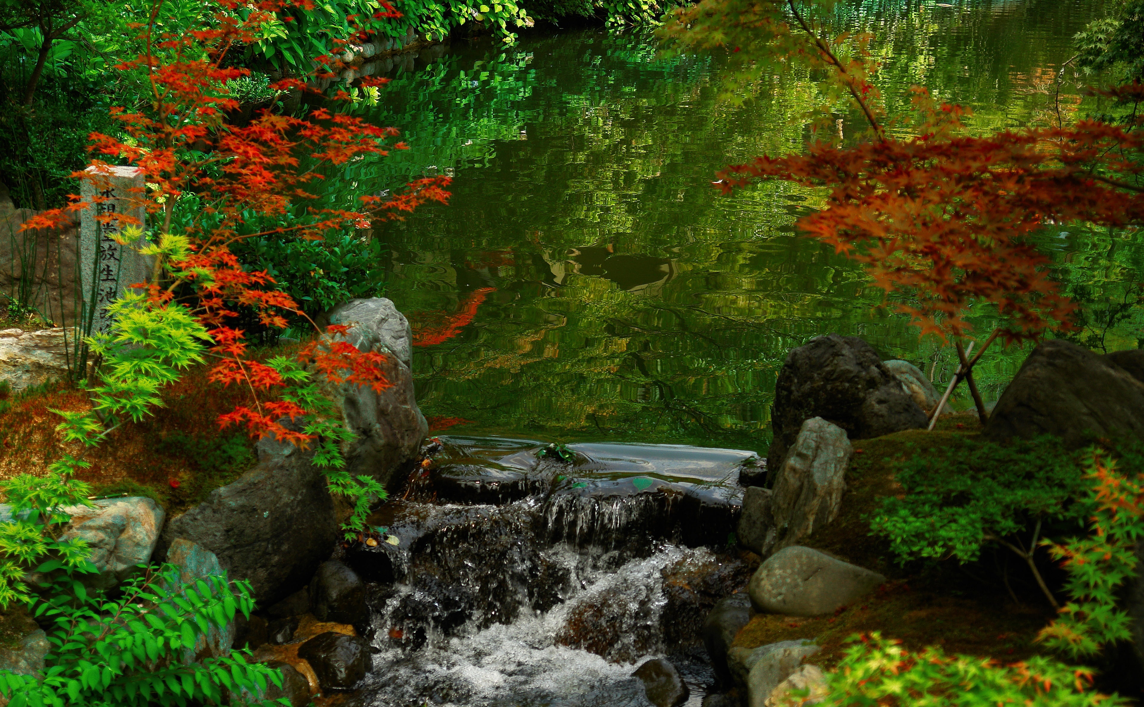 Asia, no people, flowing, kyoto, day, change, tranquil scene, water, forest, Japan, nature, scenics - nature, rock, outdoors, solid, tranquility, tree, HD Wallpaper