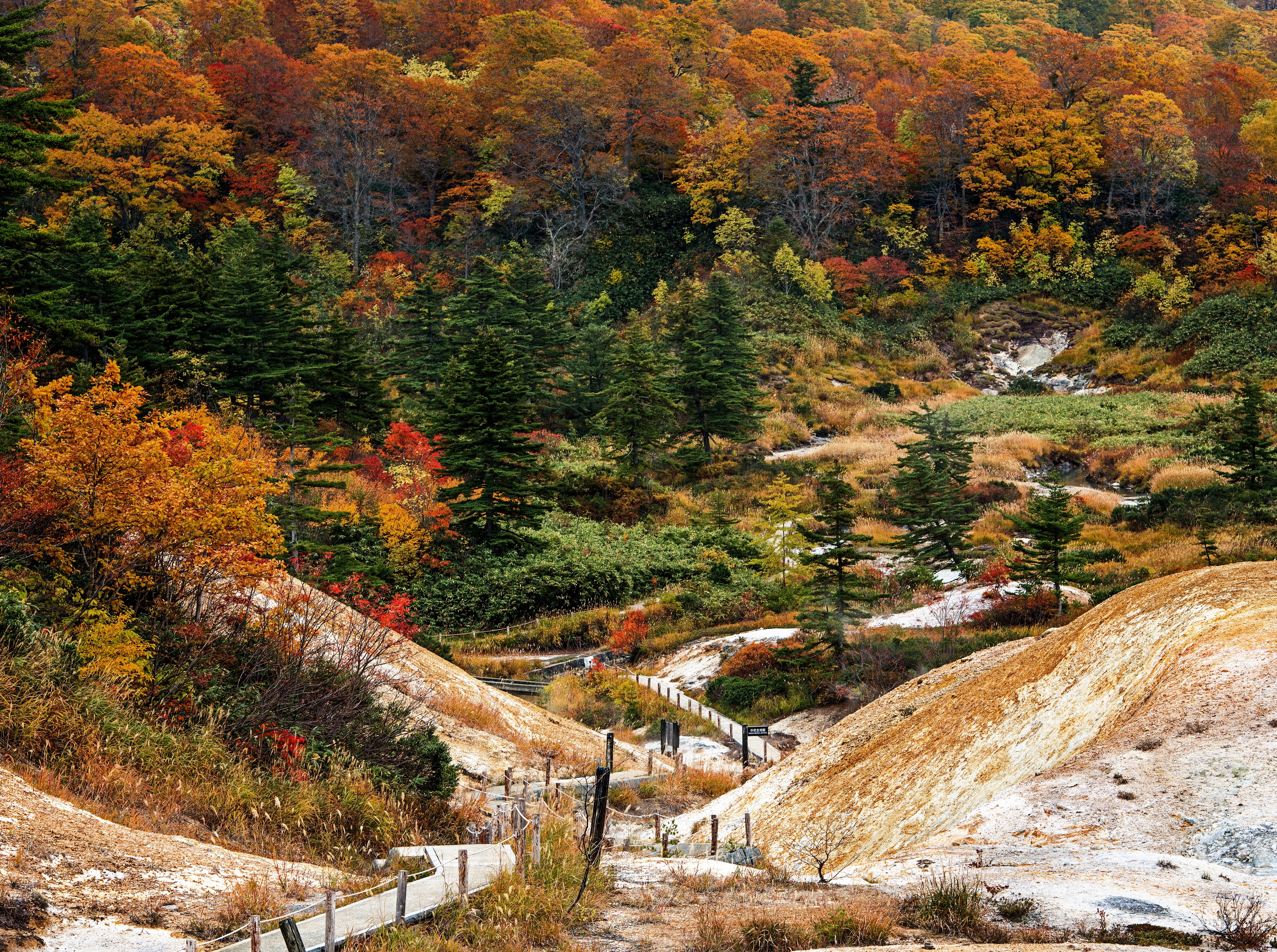 plant, autumncolors, autumn collection, environment, kazunoshi, transportation, no people, 5K, Akita, Colors, non-urban scene, day, Cloudy, Springs, Hell, HD Wallpaper