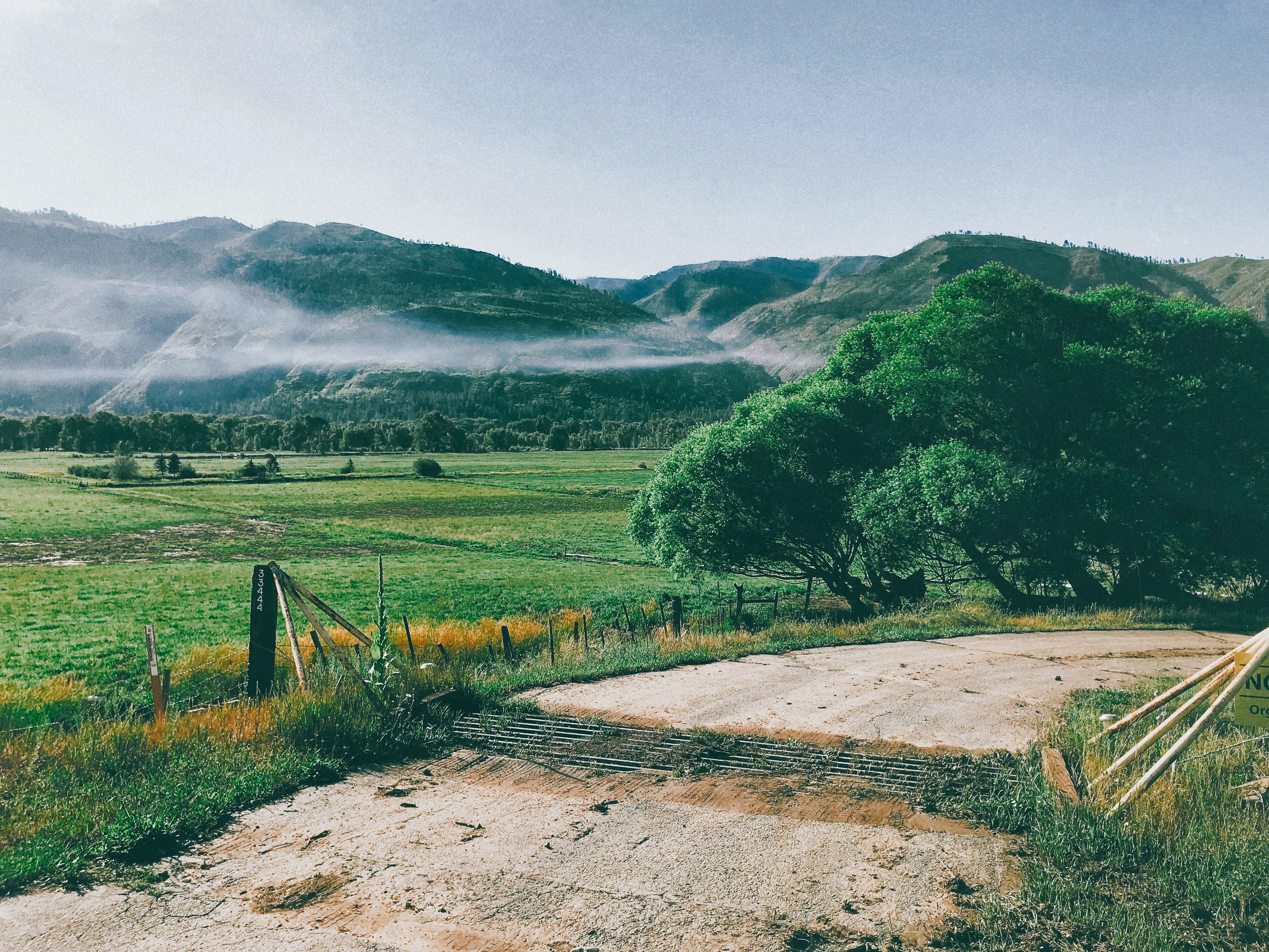 cattle guard, mountain, truee, plant, growth, mist, environment, farm, colorado, durango, scenics - nature, outdoors, day, animas river, tranquility, sky, HD Wallpaper