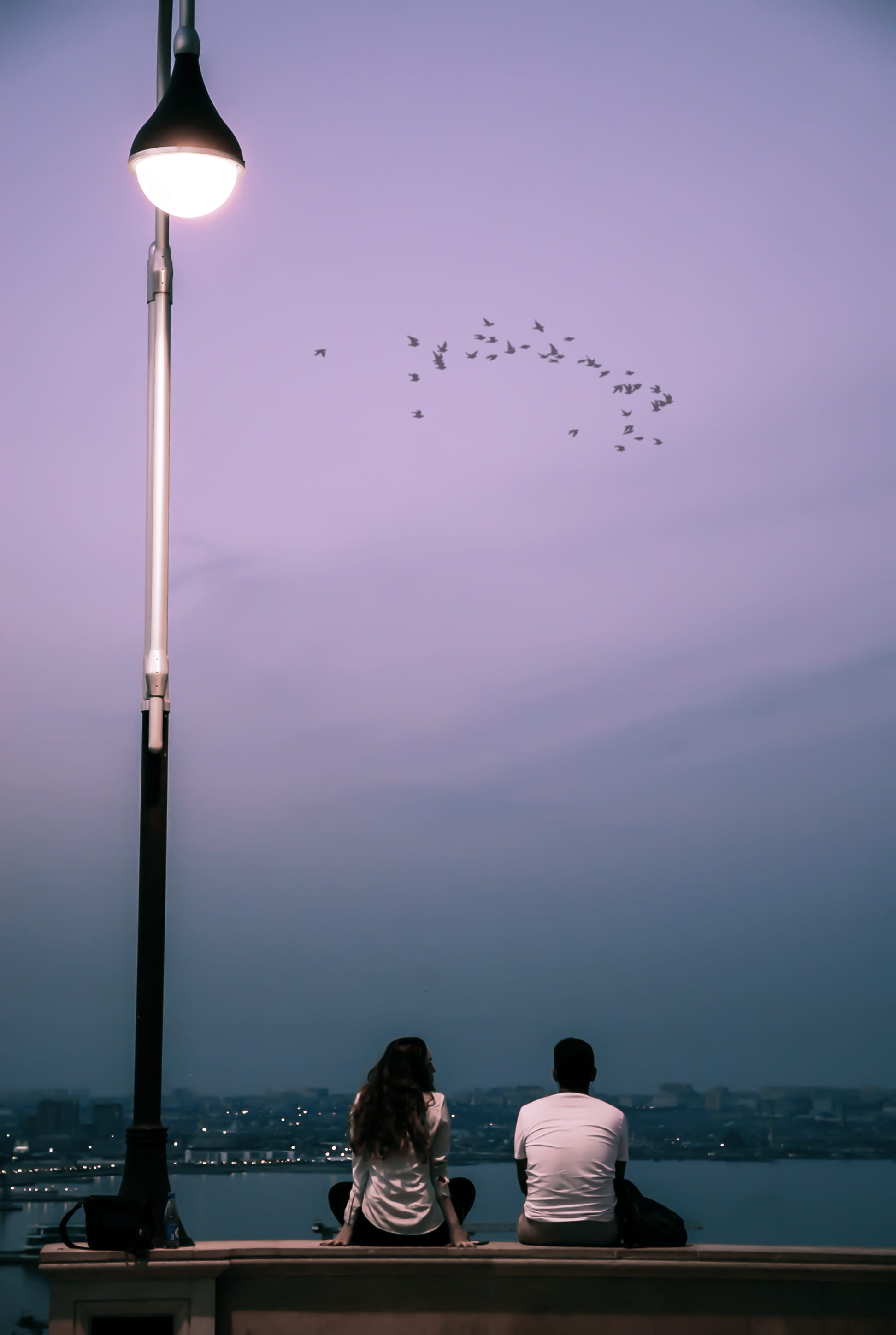 azerbaijan, beauty in nature, real people, sky, lighting equipment, vertebrate, scenics - nature, togetherness, leisure activity, baku, people, bird, water, Phone HD Wallpaper
