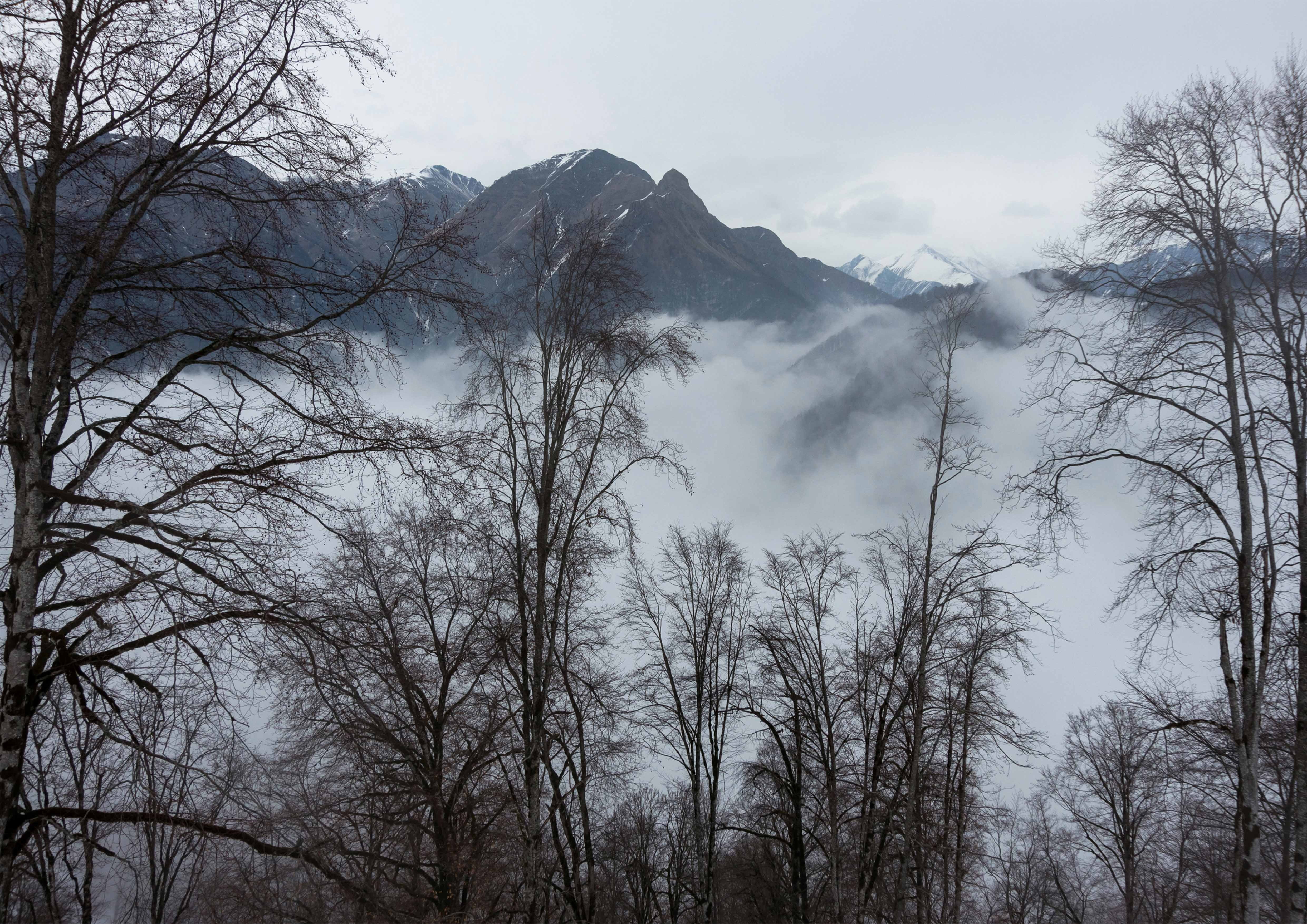 mountain peak, tree, coldly, clouds, fog, snow, idyllic, scenics - nature, mountains, beauty in nature, winter, cold temperature, tranquil scene, tranquility, HD Wallpaper
