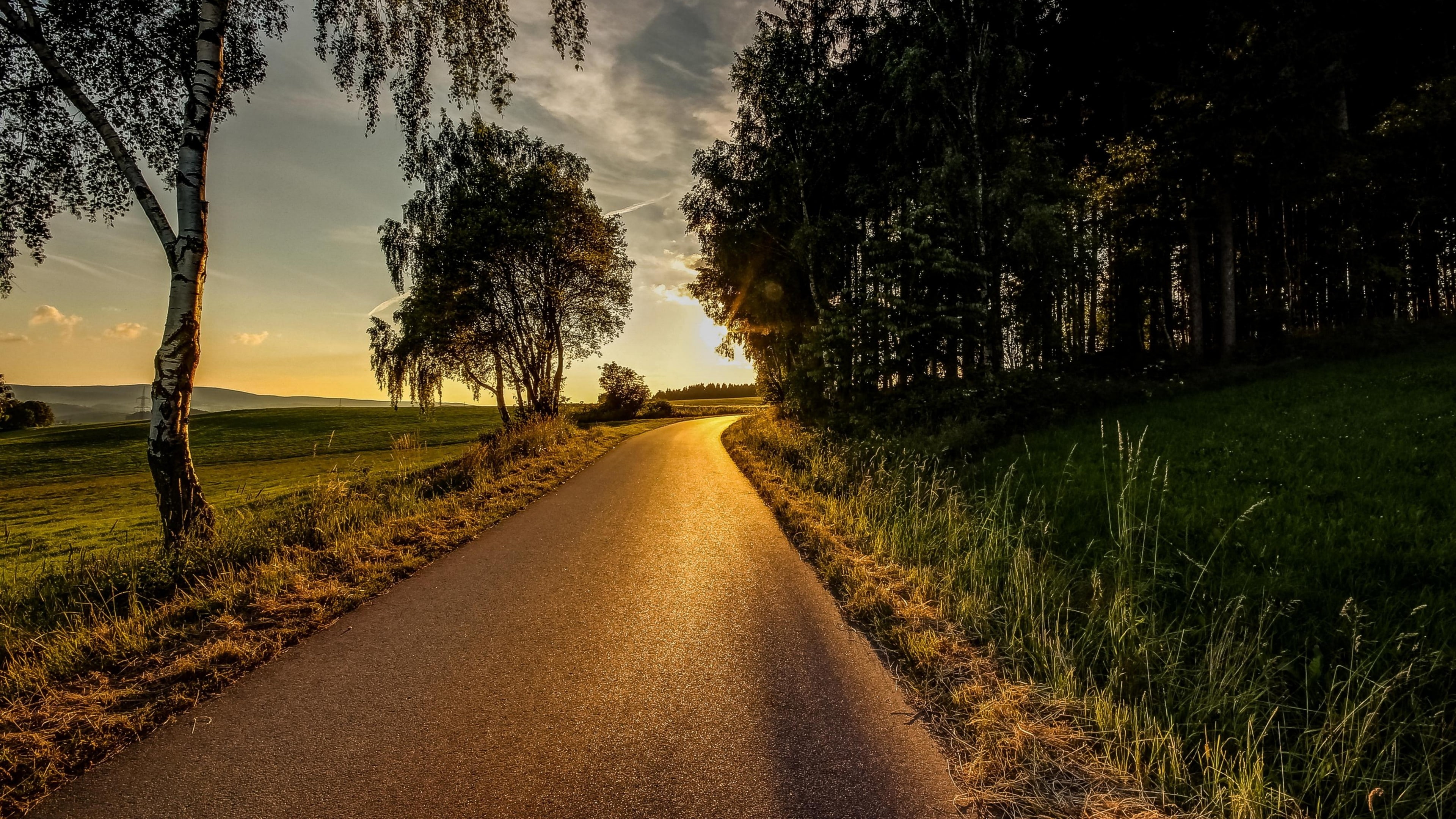 rural area, sunlight, tree, forest, road, landscape, 4K, sunset, field, evening, HD Wallpaper