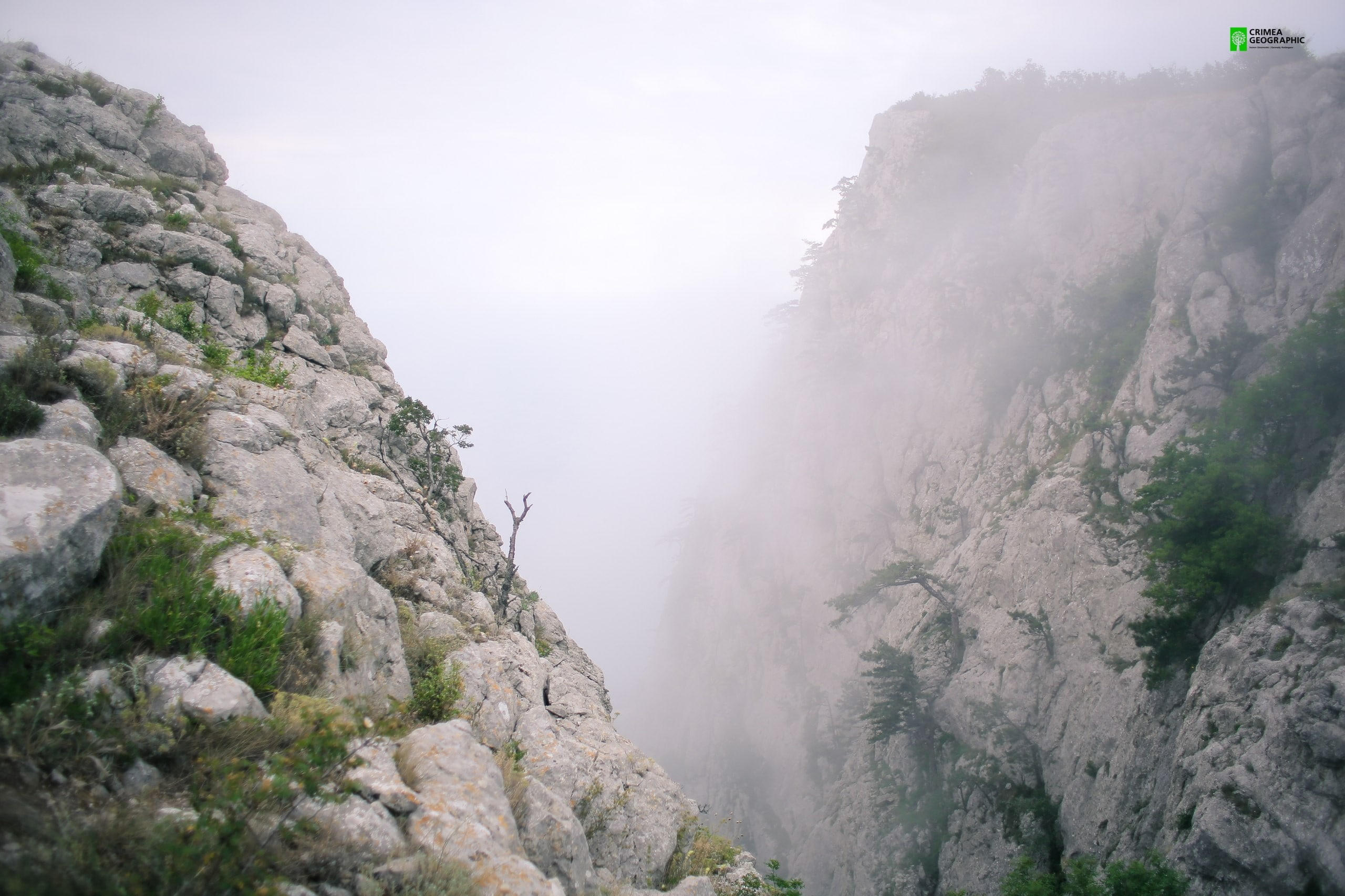 tranquil scene, Crimea, solid, formation, plant, rock - object, rock formation, nature, day, non-urban scene, beauty in nature, outdoors, tranquility, scenics - nature, HD Wallpaper