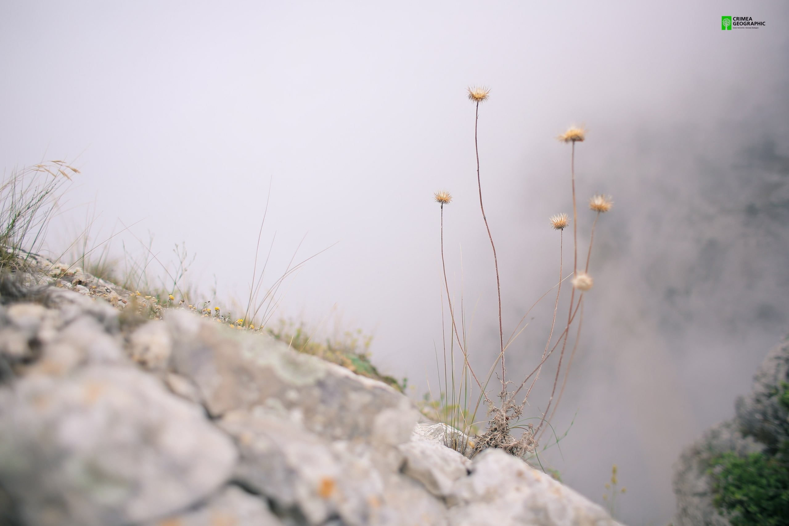 growth, outdoors, grass, architecture, rock, beauty in nature, plant, Crimea, no people, rock - object, 2K, flowering plant, nature, tranquility, land, HD Wallpaper