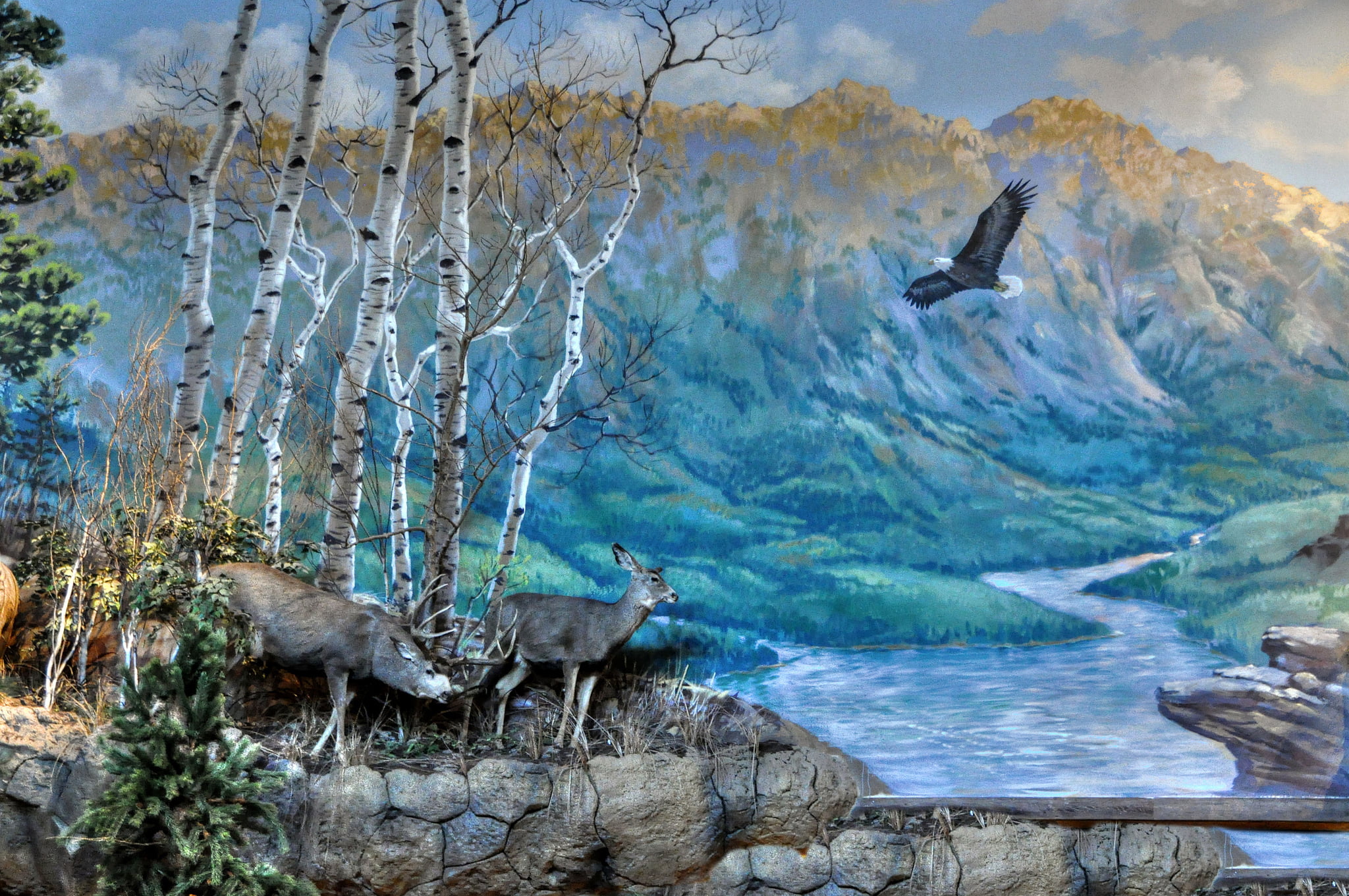1080P, nature, scenics - nature, water, bird, outdoors, vertebrate, animal themes, rock, landscape, flying, beauty in nature, tree, picture, mid-air, river, HD Wallpaper
