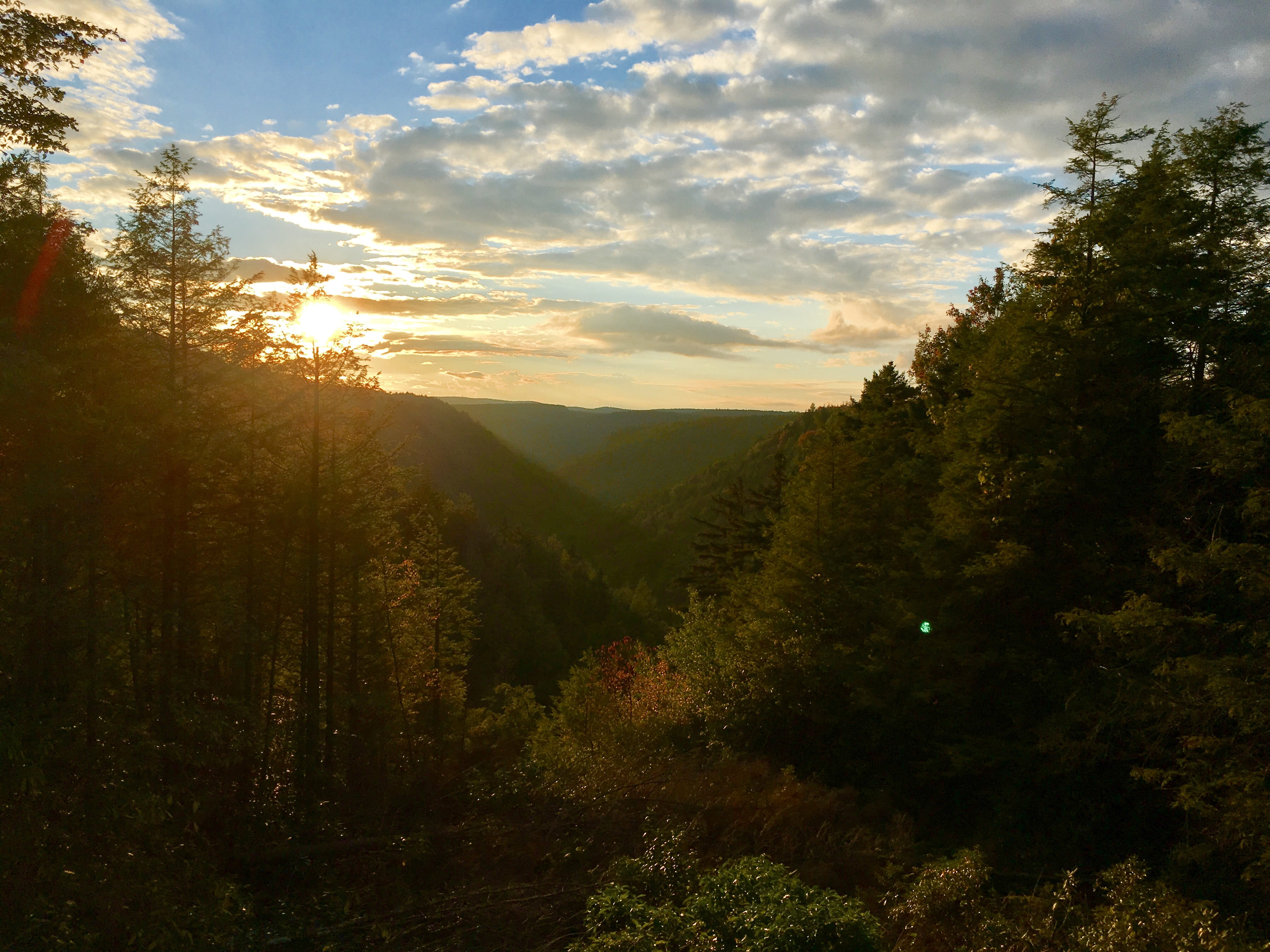 nature, sun, trees, sunbeam, united states, beauty in nature, environment, landscape, lens flare, coniferous tree, davis, no people, cloud - sky, growth, HD Wallpaper