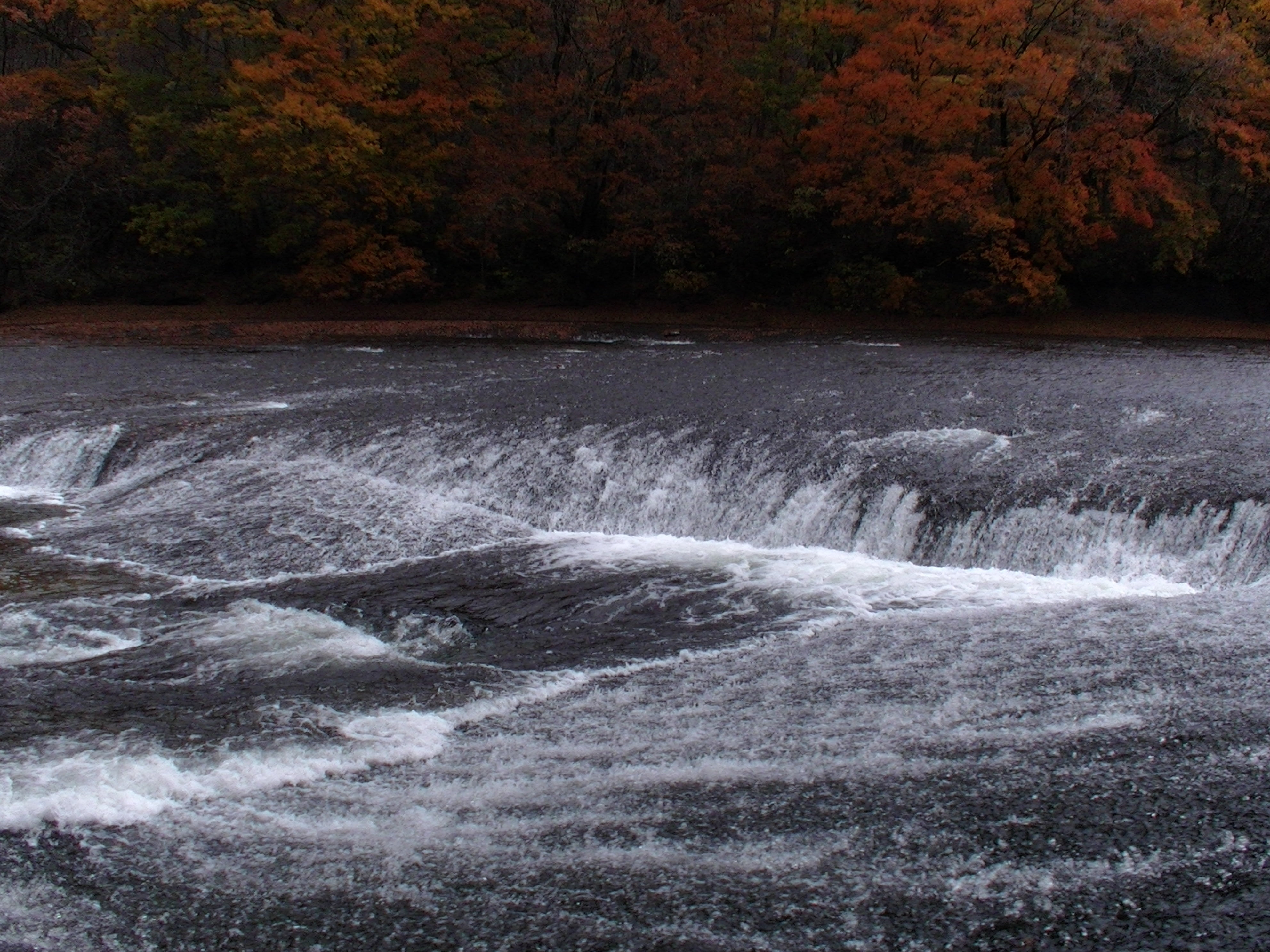 stream, plant, flowing Water, landscape, falls, water, land, tree, japan, blurred motion, forest, power in nature, change, falling, river, autumn, outdoors, HD Wallpaper