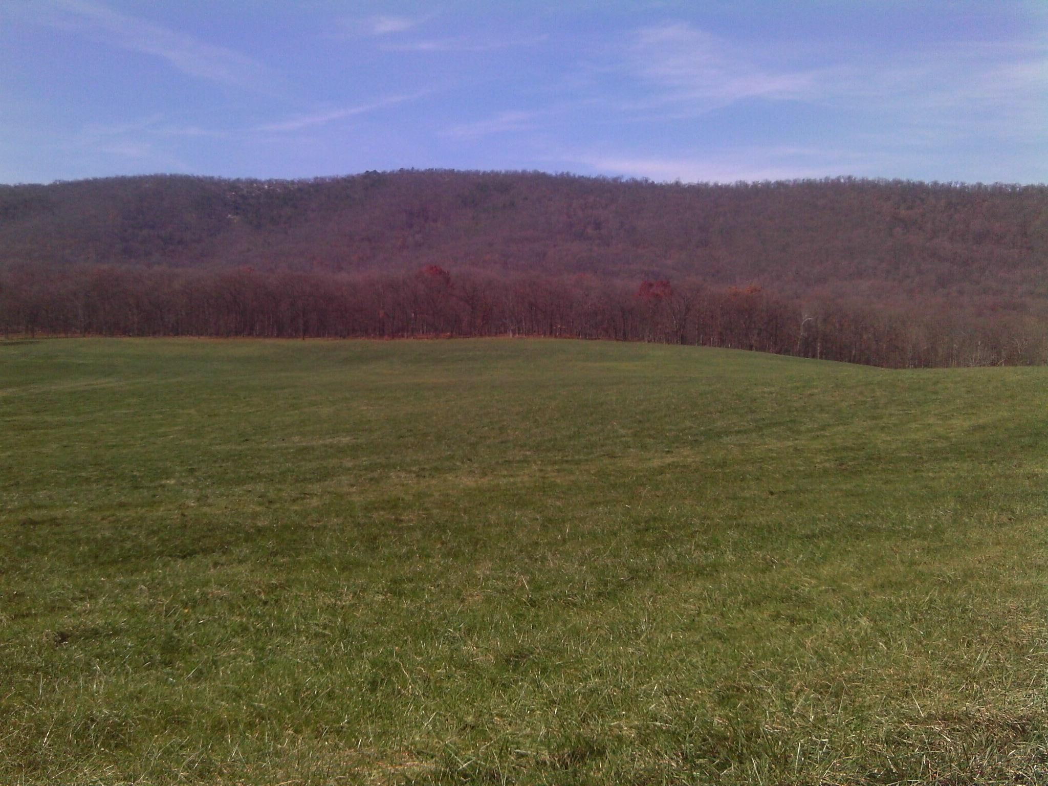 grass, 1080P, 3d and abstract, mountains, field, trees, green, allegheny, HD Wallpaper
