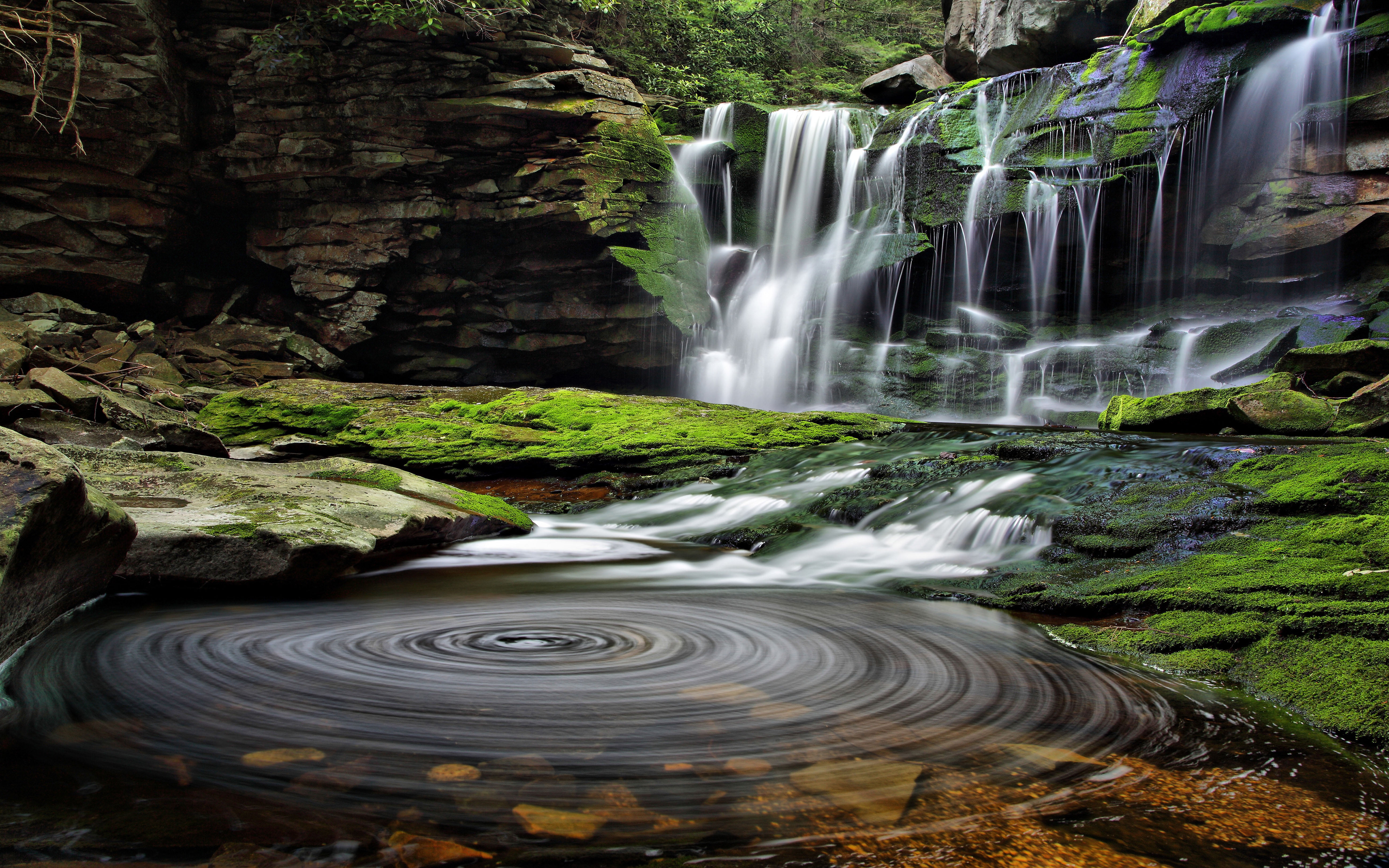 scenics - nature, power in nature, flowing water, hd, no people, forest, waterfall, falls, nature, day, west, cascades, beauty in nature, rock - object, HD Wallpaper