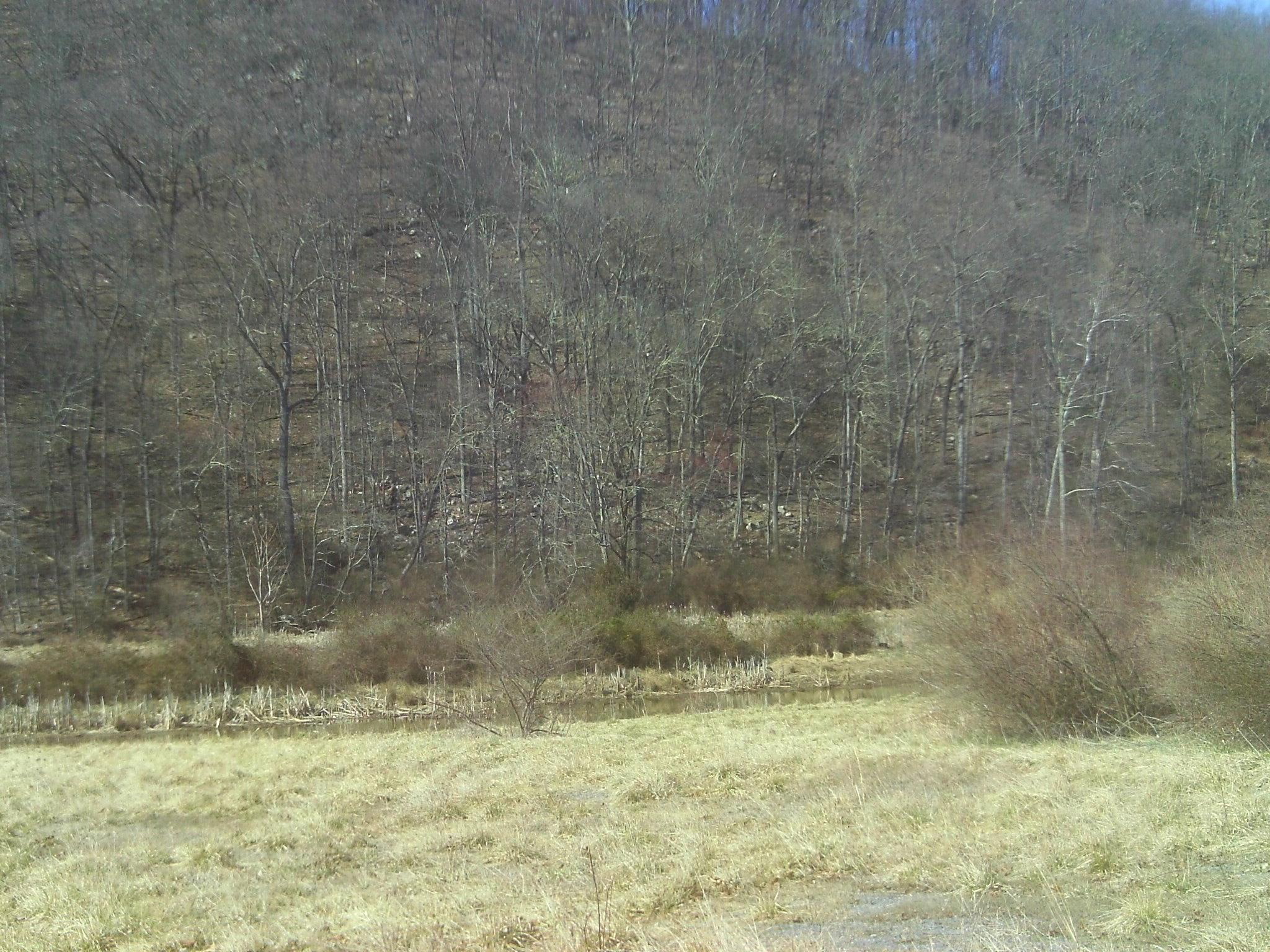 grass, walk, west virginia, trees, 1080P, redneck, creek, 3d and abstract, rocks, bush, HD Wallpaper