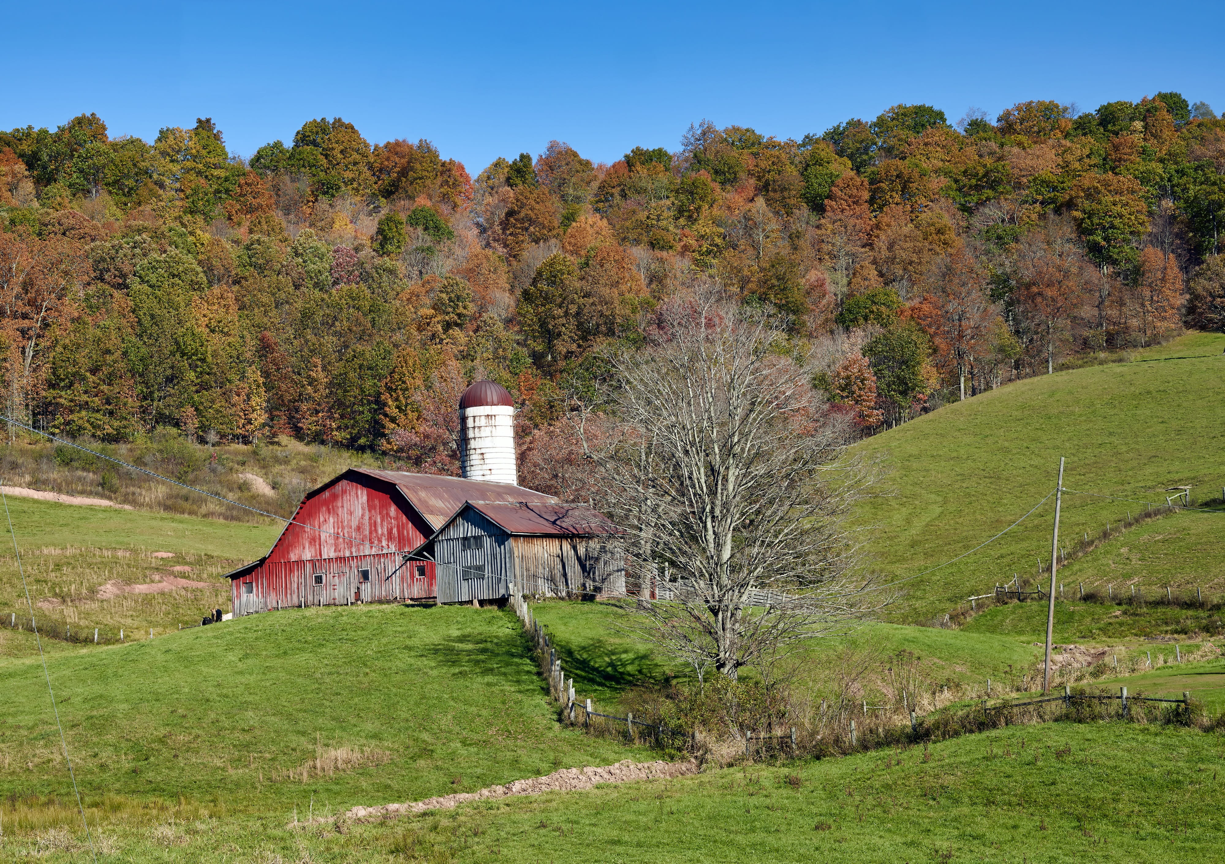 meadow, land, west virginia, agricultural building, nature, colorful, tree, farm, architecture, fall, house, hills, landscape, environment, scenics - nature, HD Wallpaper