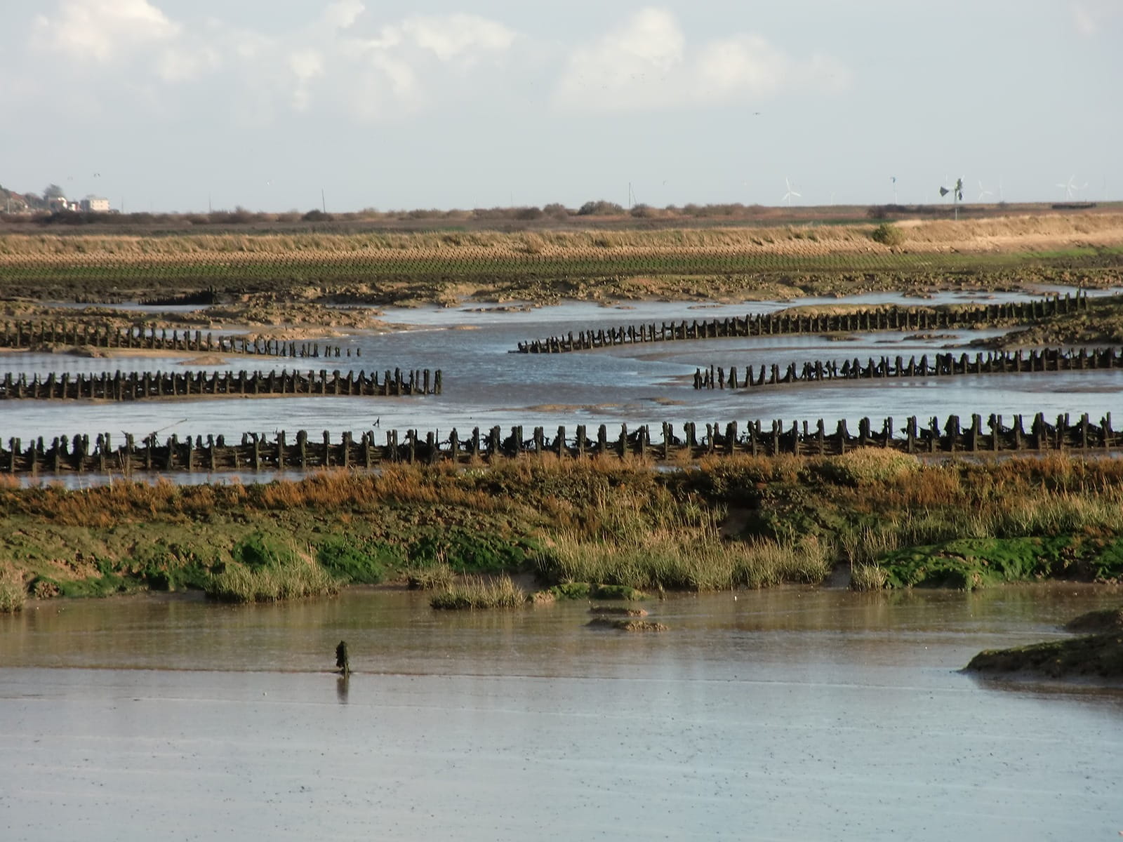 nature, no people, group of animals, estuary, Water, Sea, animal, landscape, Defenses, animal wildlife, pool, Saltmarsh, environment, reflection, day, lake, HD Wallpaper