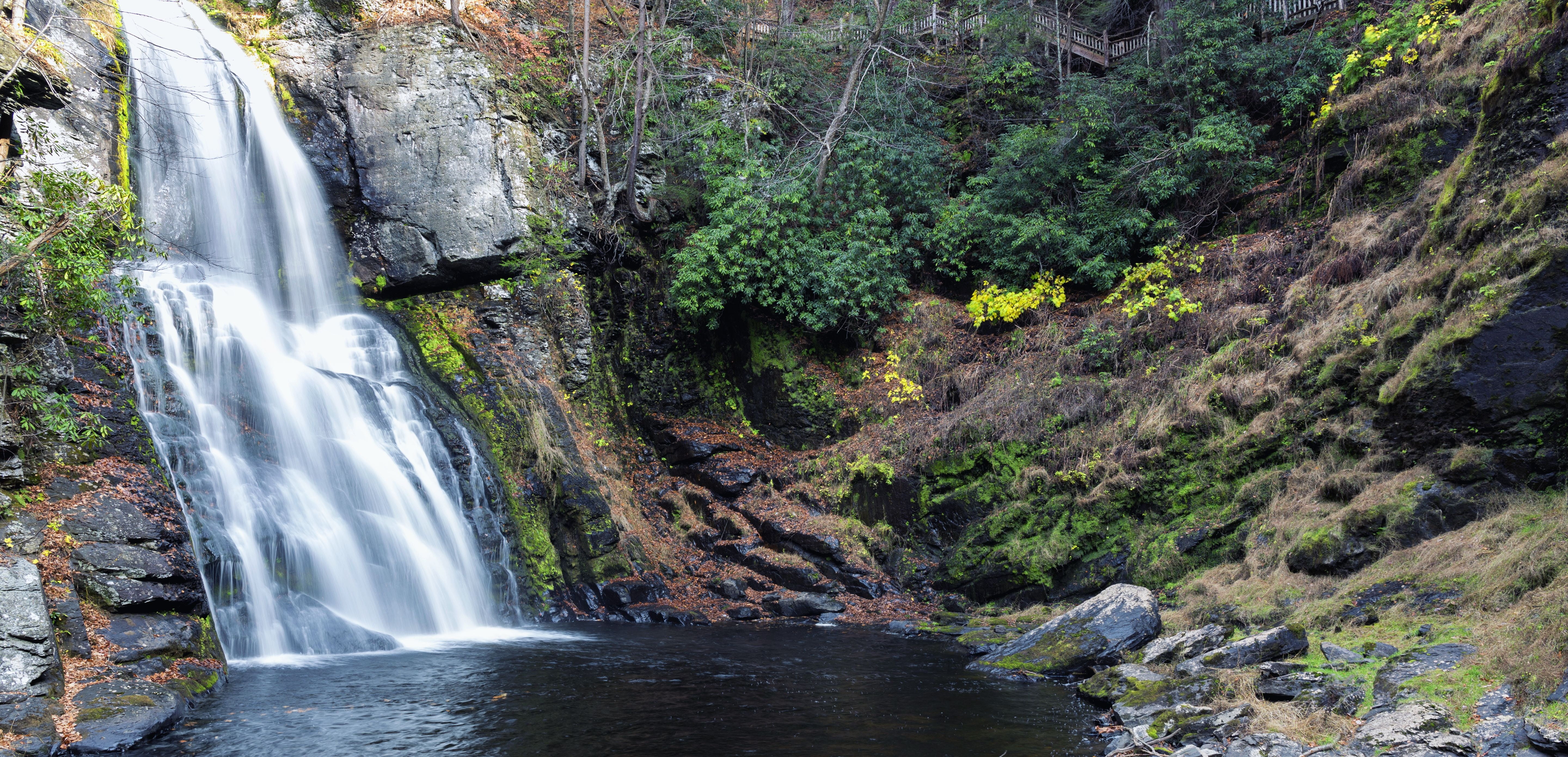 park, nature, flow, outdoor, fall, scenics, forest, leafed, peace, no people, tranquil, mountain, 5K, foliage, falling water, usa, blurred motion, plants, HD Wallpaper