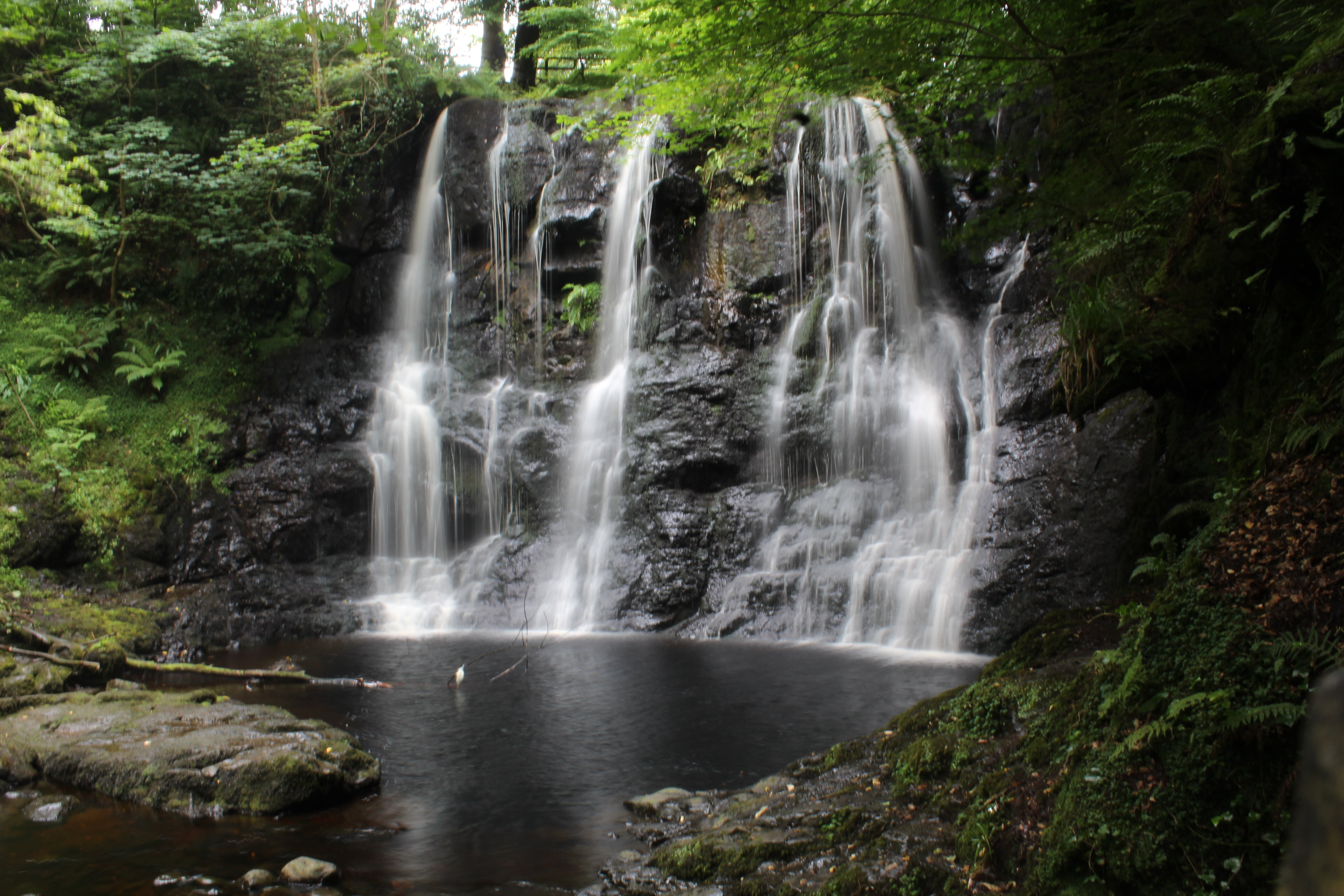 green Color, landscape, scenics, beauty In Nature, outdoors, Damp, Forest, timelapse, day, rock - Object, Antrim, tropical Rainforest, tree, river, waterfall, HD Wallpaper