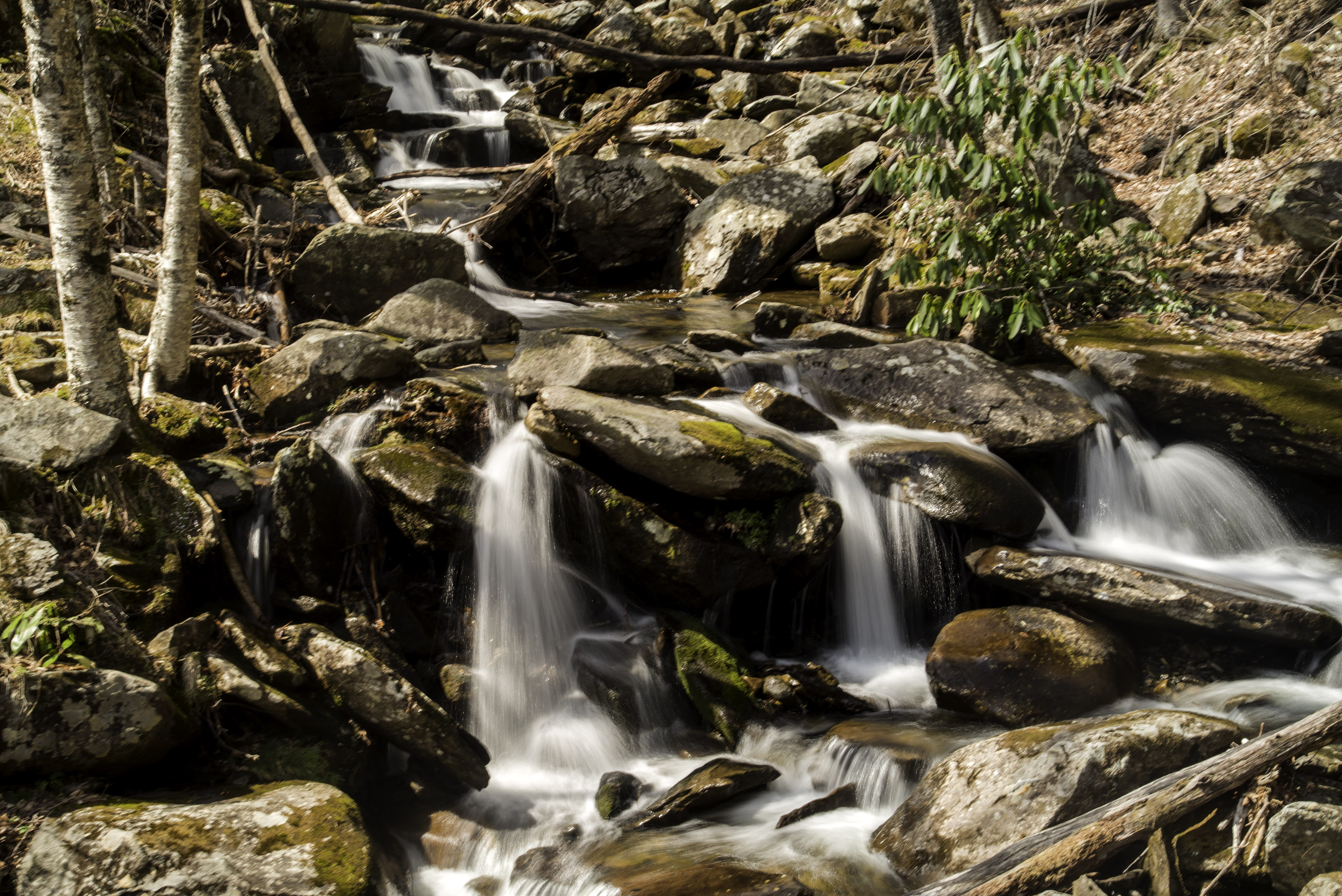green Color, beauty In Nature, scenery, Waterfalls, Tennessee, scenics - nature, falling water, photos, great smoky national park, rapids, rock - Object, HD Wallpaper