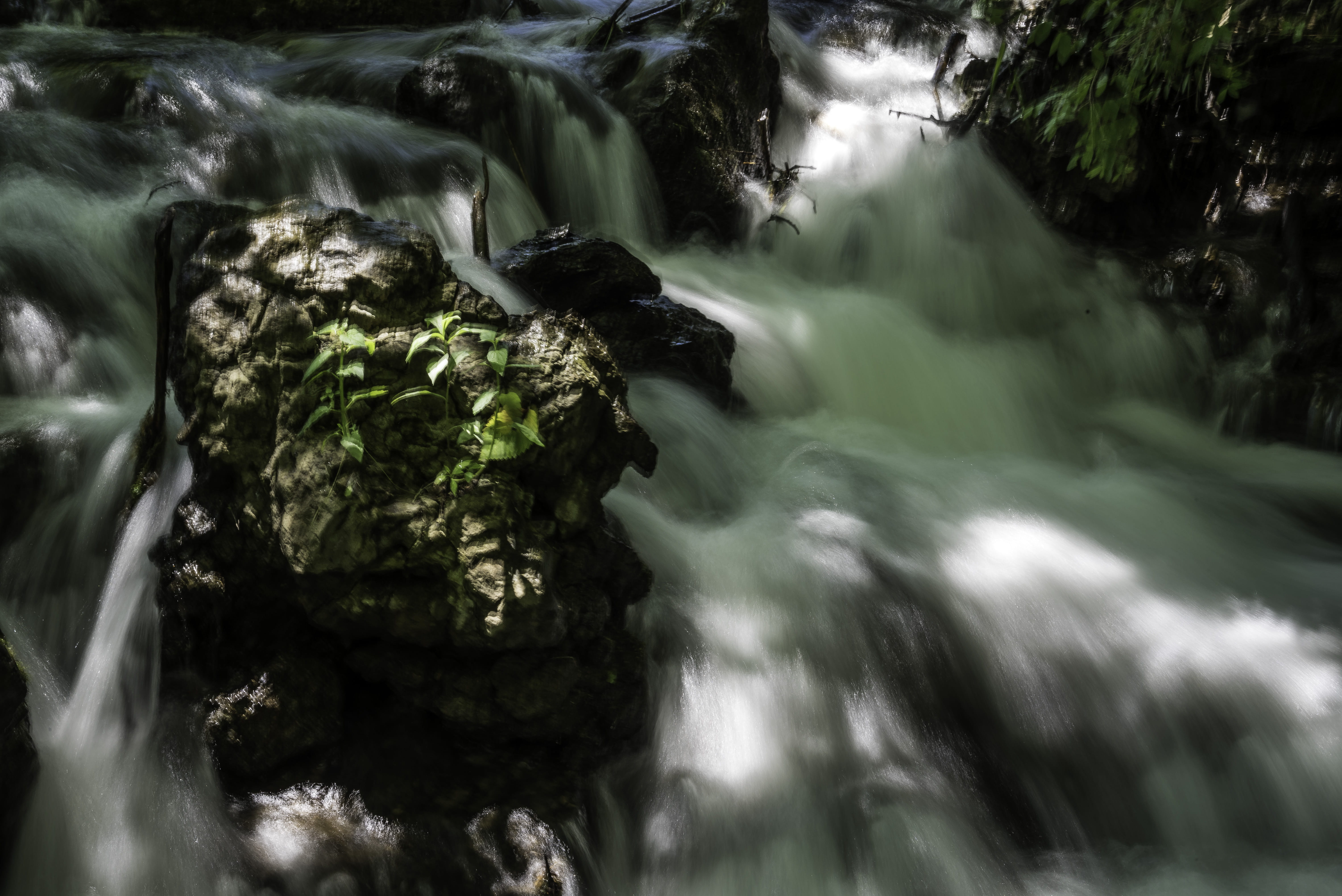 governor, forest, photo, purity, public domain, freshness, water, Rushing, stone - Object, rock - Object, United States, Wisconsin, park, scenics, no People, HD Wallpaper