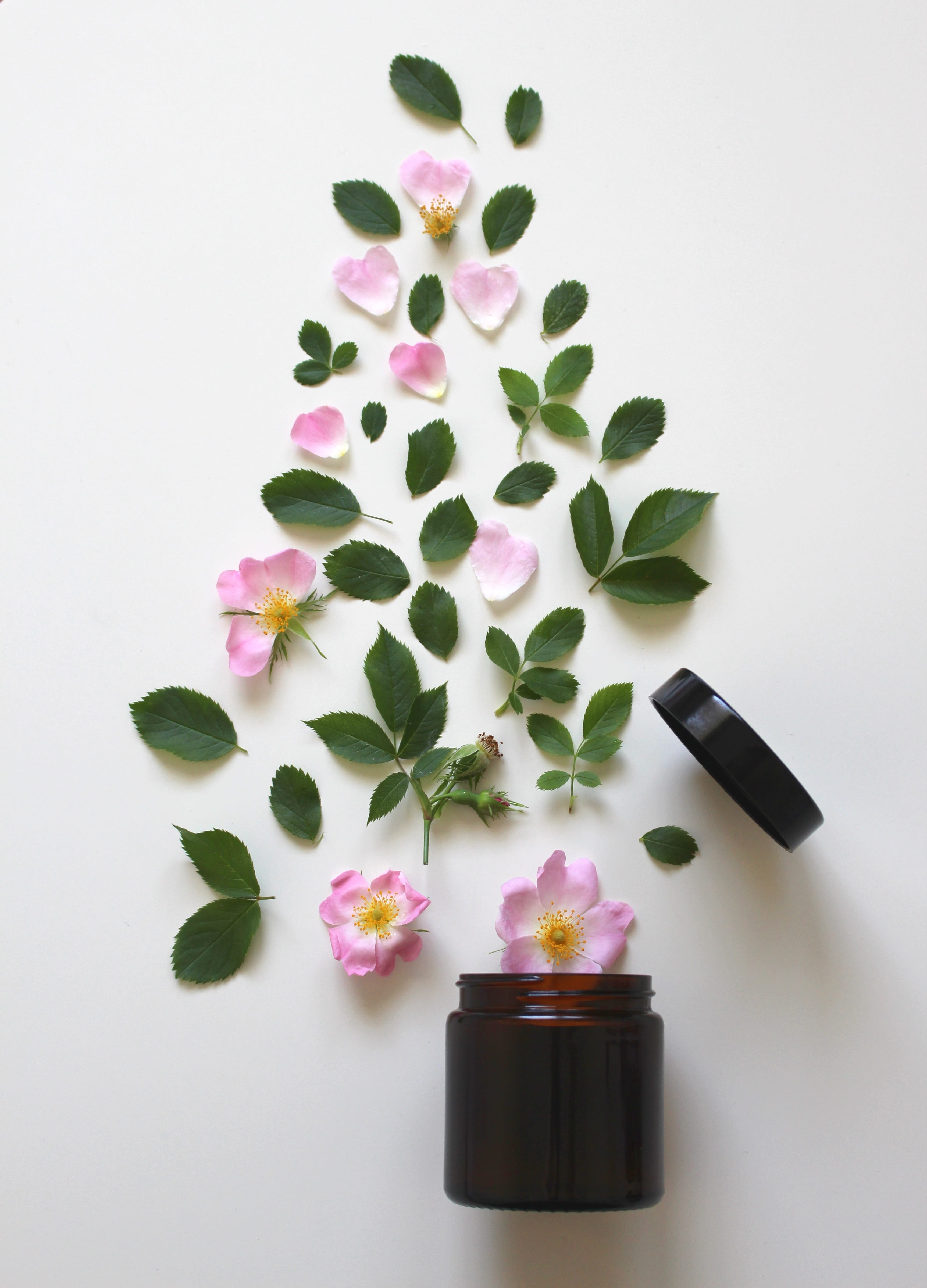close, natural cosmetics, close up, purple, blossomed, plant, beside, ingredients, black color, table, jar, studio shot, houseplant, indoors, brown, petals, Phone HD Wallpaper