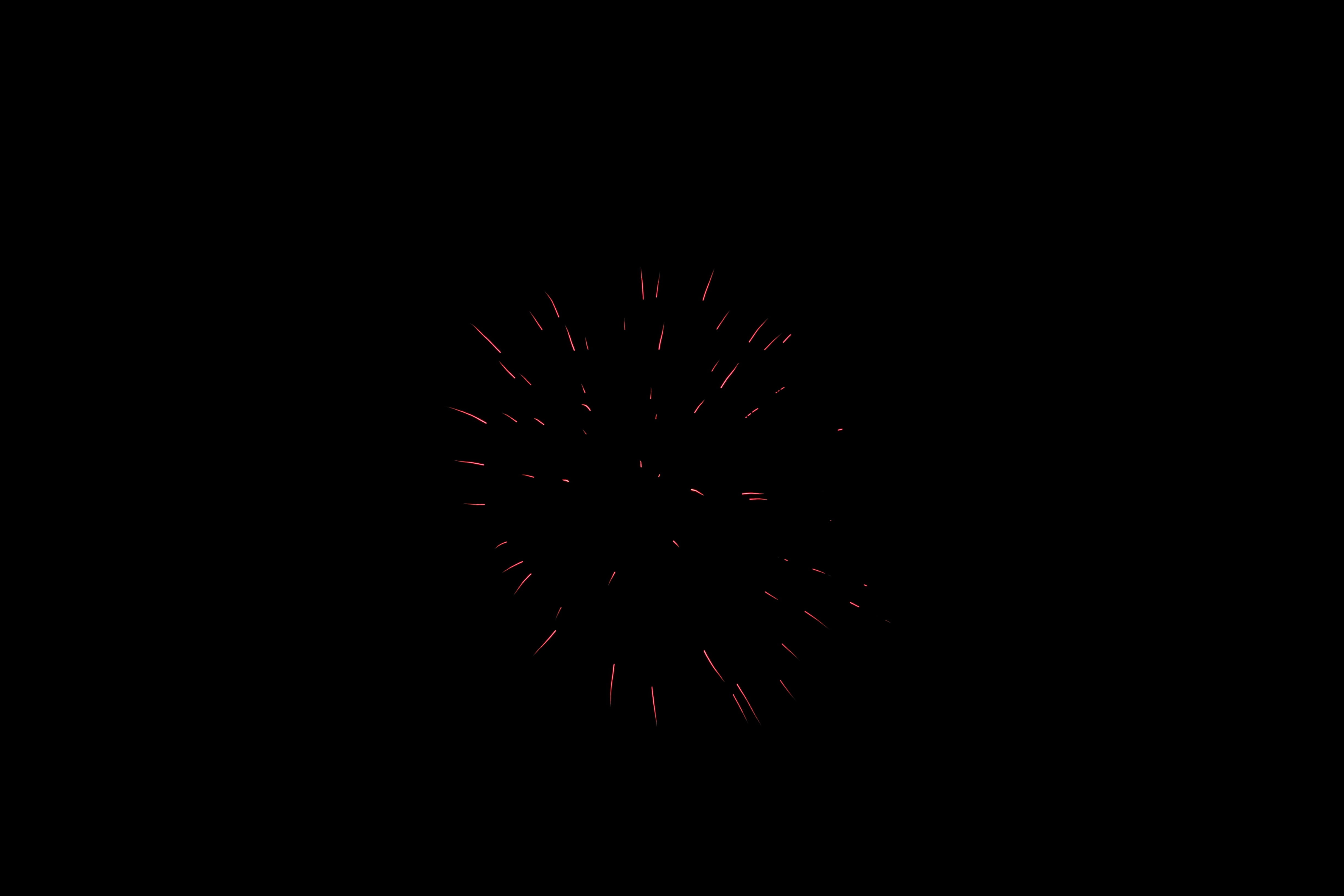 dark, new year, blurred motion, long exposure, spiky, firework, black background, low angle view, sky, nature, celebration, pink, night, indoors, burst, HD Wallpaper