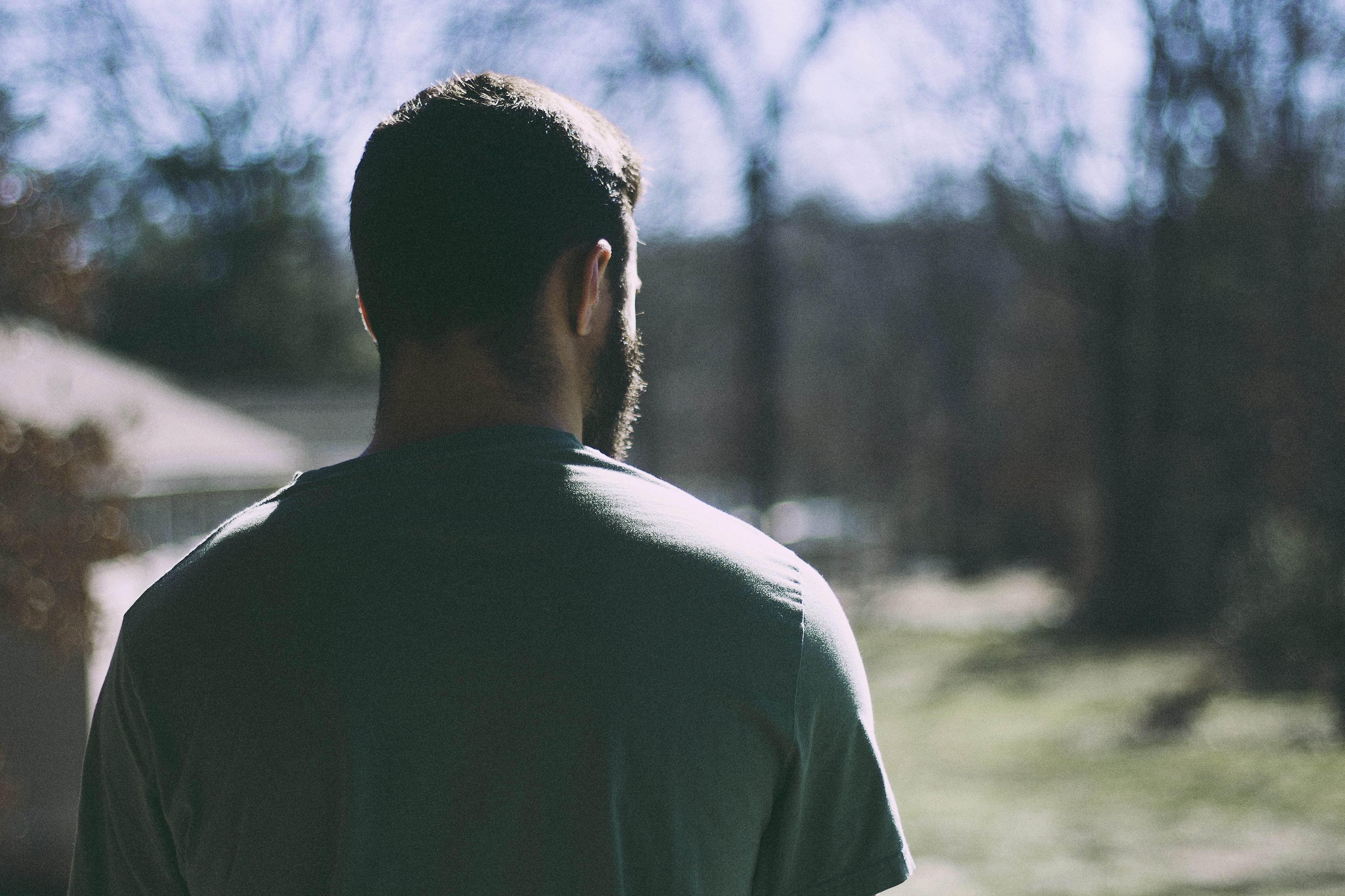 forest, t, woodland, contemplation, individual, woods, one person, hairstyle, male, selective, men, standing, day, pine woodland, hair, backside, grey, HD Wallpaper