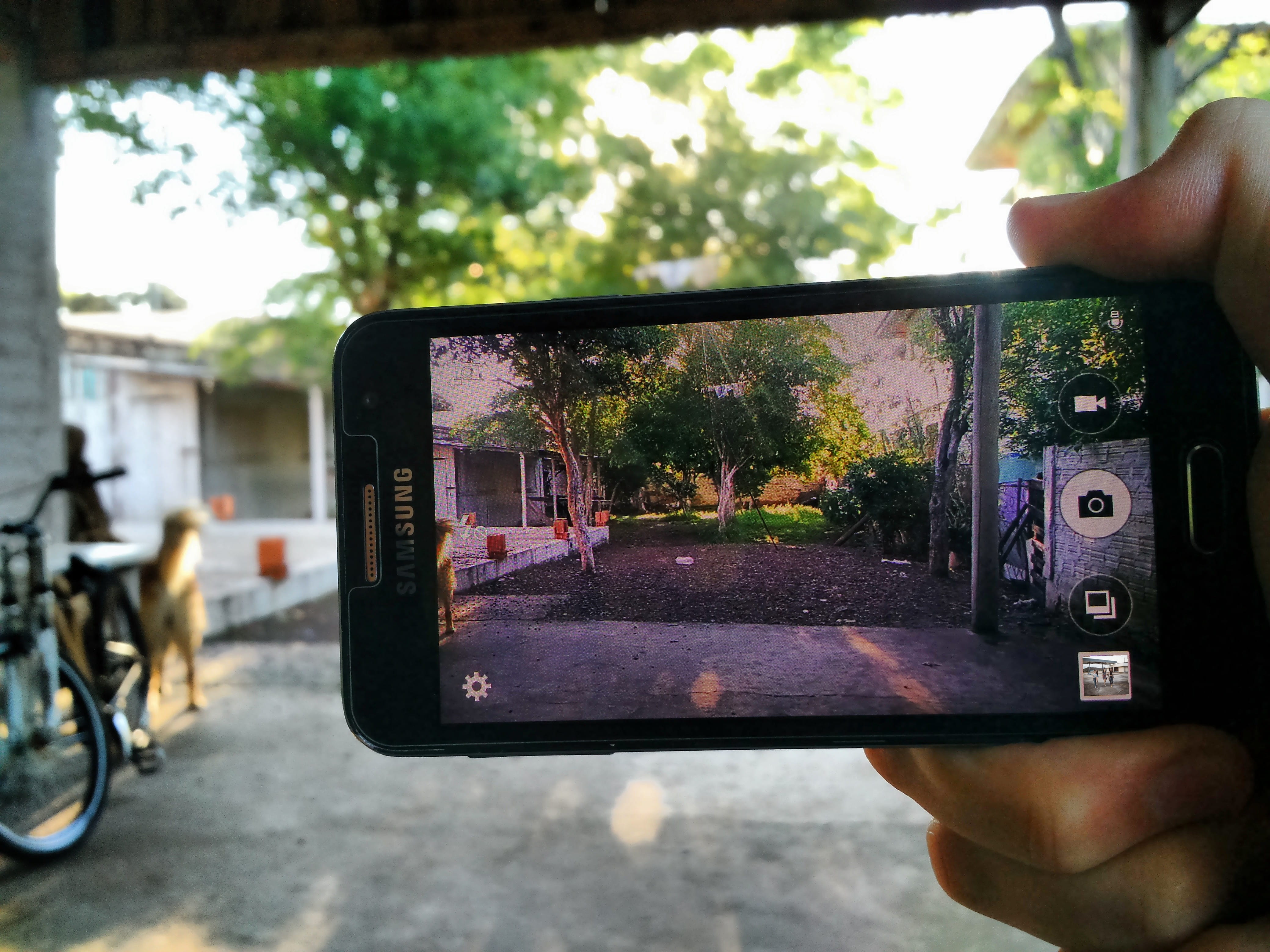 focus on foreground, one person, real people, trees, outdoors, lifestyles, unfocused, technology, human body part, uruguaiana, yard, sun, cell phone, 4K, HD Wallpaper
