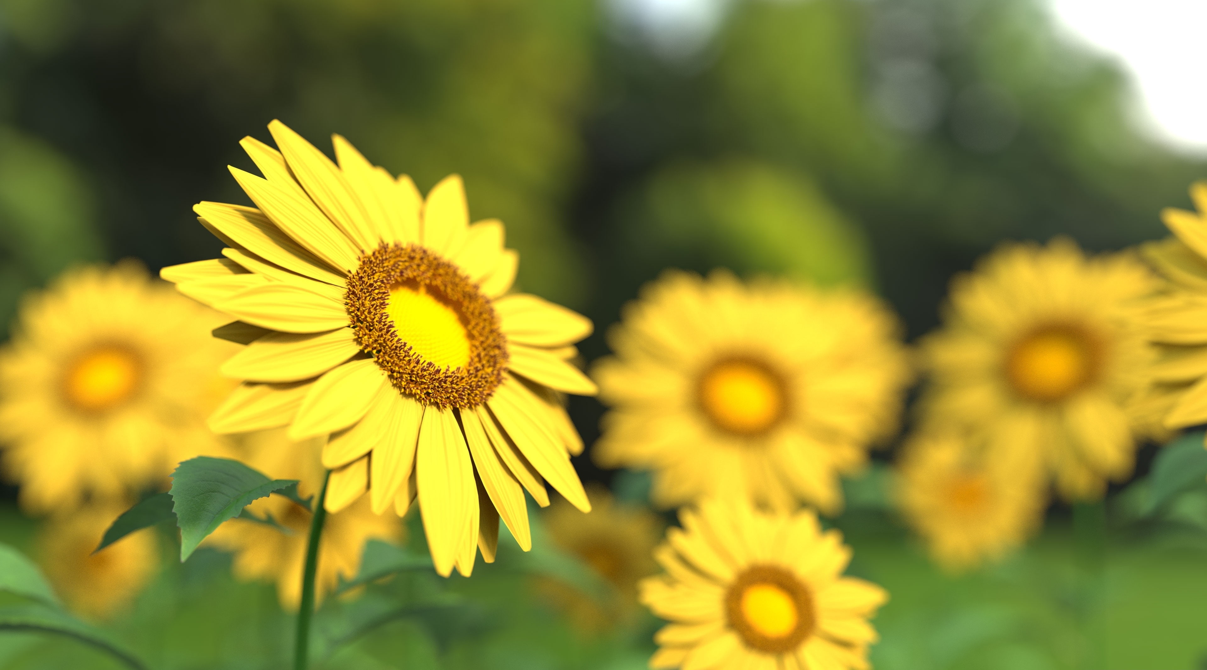 d, three-dimensional, flower head, petal, freshness, no people, Artistic, Agriculture, pollen, 3DComputerGraphics, nature, 4K, Flowers, Yellow, beauty in nature, HD Wallpaper