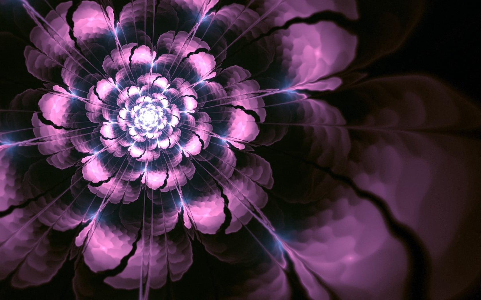 black background, softness, design, fragility, space, indoors, black, 720P, abstract, multi Colored, digitally Generated Image, full frame, backdrop, purple, HD Wallpaper