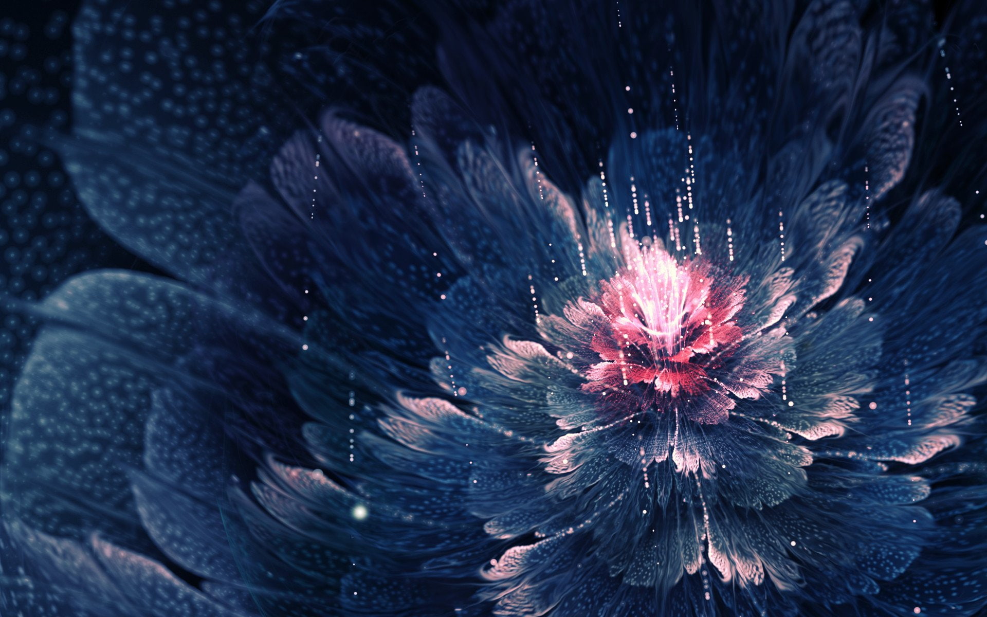 lines, flower, Flor, blue, 1080P, red, plant, abstrac, HD Wallpaper