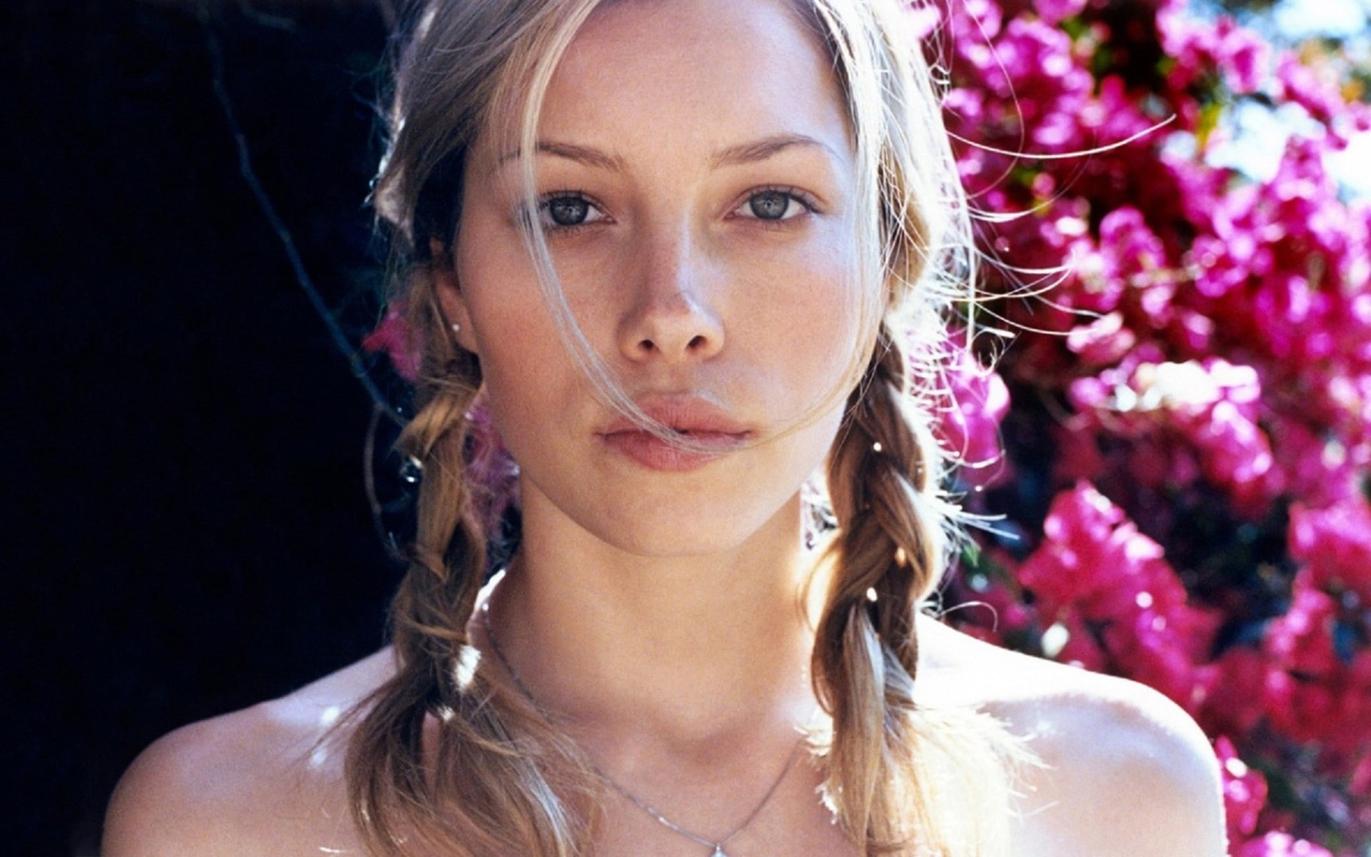 young adult, flower, hair, women, portrait, hairstyle, plant, face, looking at camera, Jessica Biel, adult, beauty, front view, flowering plant, one person, HD Wallpaper