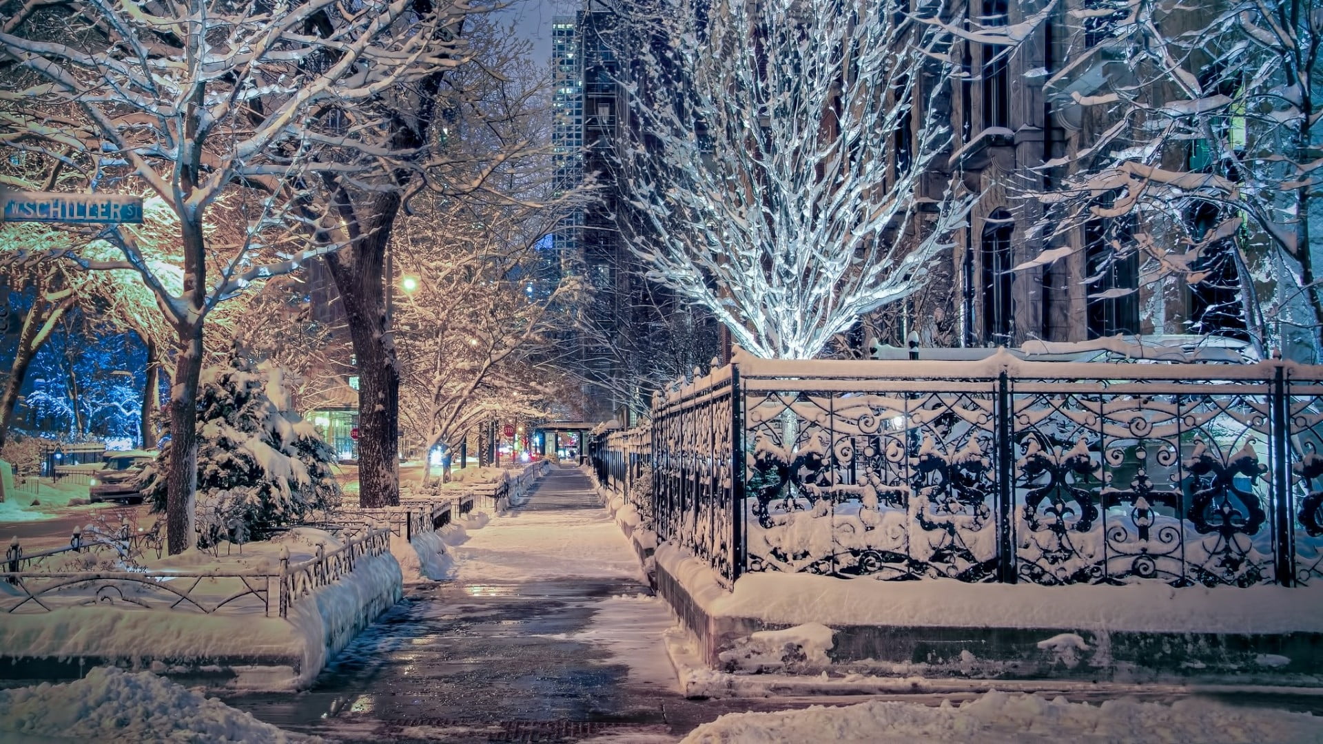 cold temperature, nature, bare tree, architecture, united states, street, building exterior, city, outdoors, no people, chicago, ilinois, snow, day, snowing, HD Wallpaper