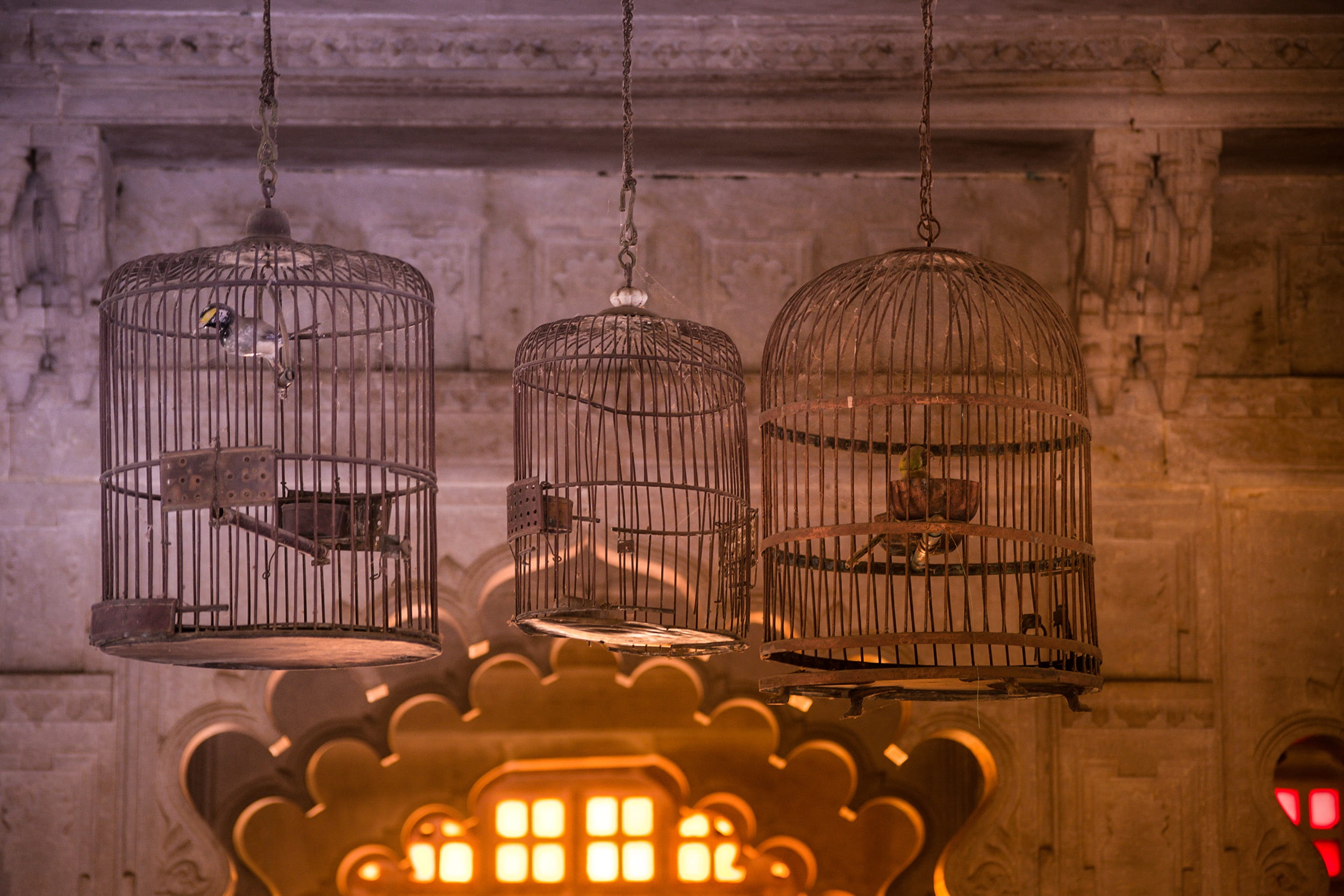 no people, animal, place, animal themes, close-up, palace, india, 1080P, focus on foreground, antique, lighting equipment, cultures, electric lamp, cityscape, HD Wallpaper