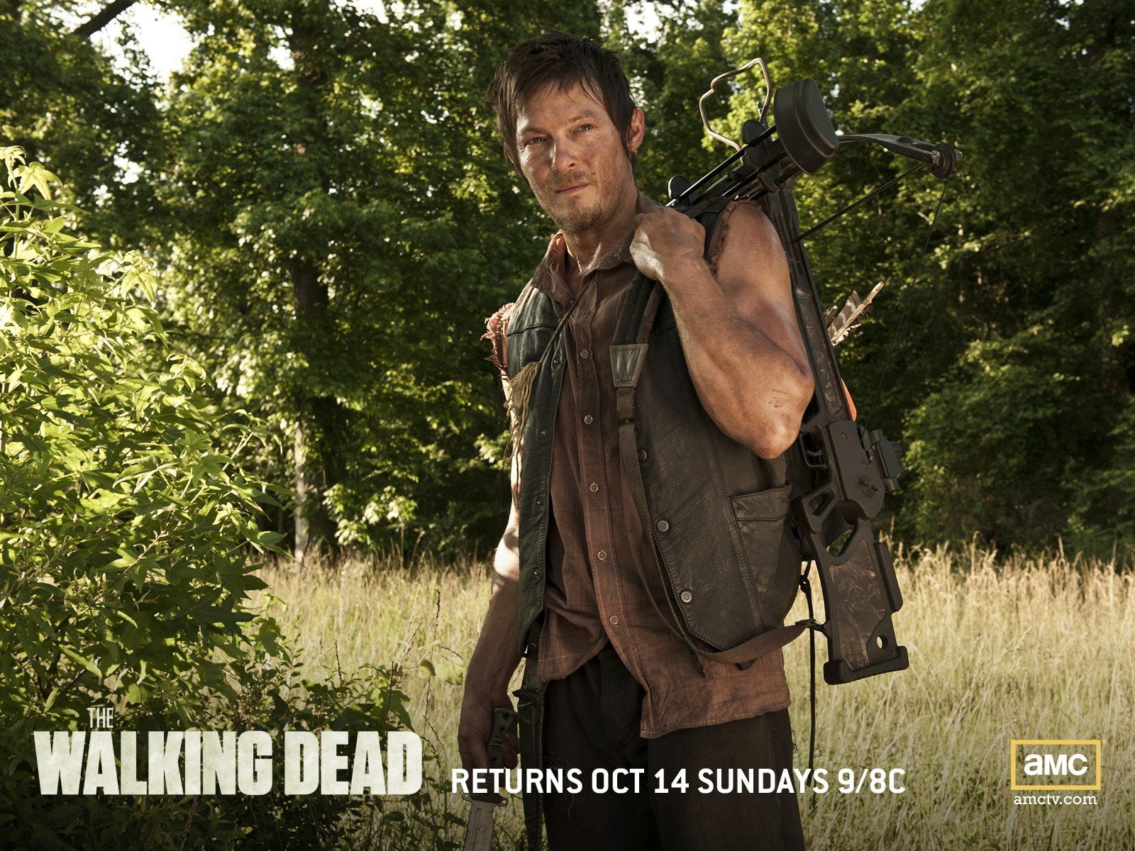 720P, reedus, daryl, walking, dead, movies, dixon, norman, HD Wallpaper