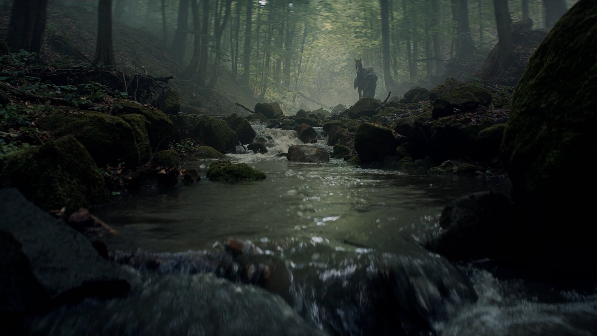 Roach, The Witcher (TV Series), Henry Cavill, 1080P, HD Wallpaper